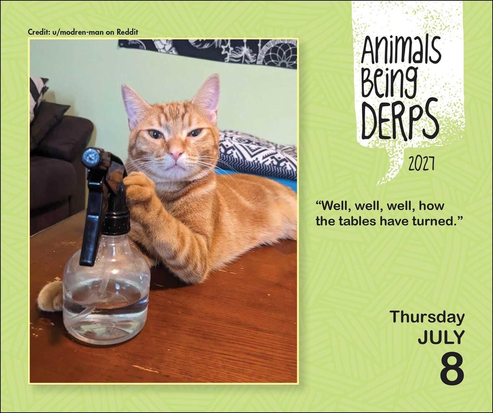 Animals Being Derps 2027 Day-to-Day Calendar