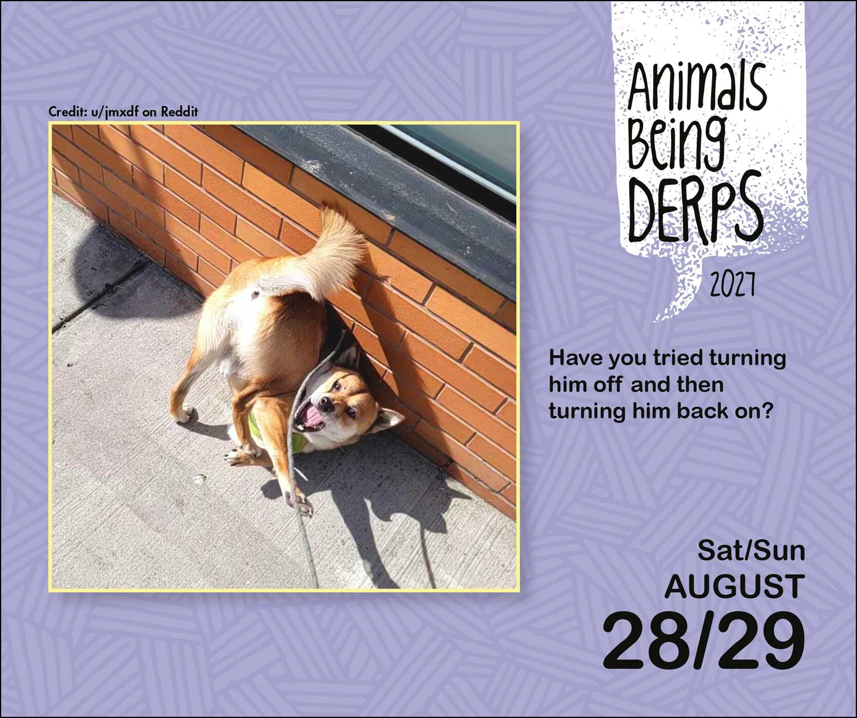 Animals Being Derps 2027 Day-to-Day Calendar