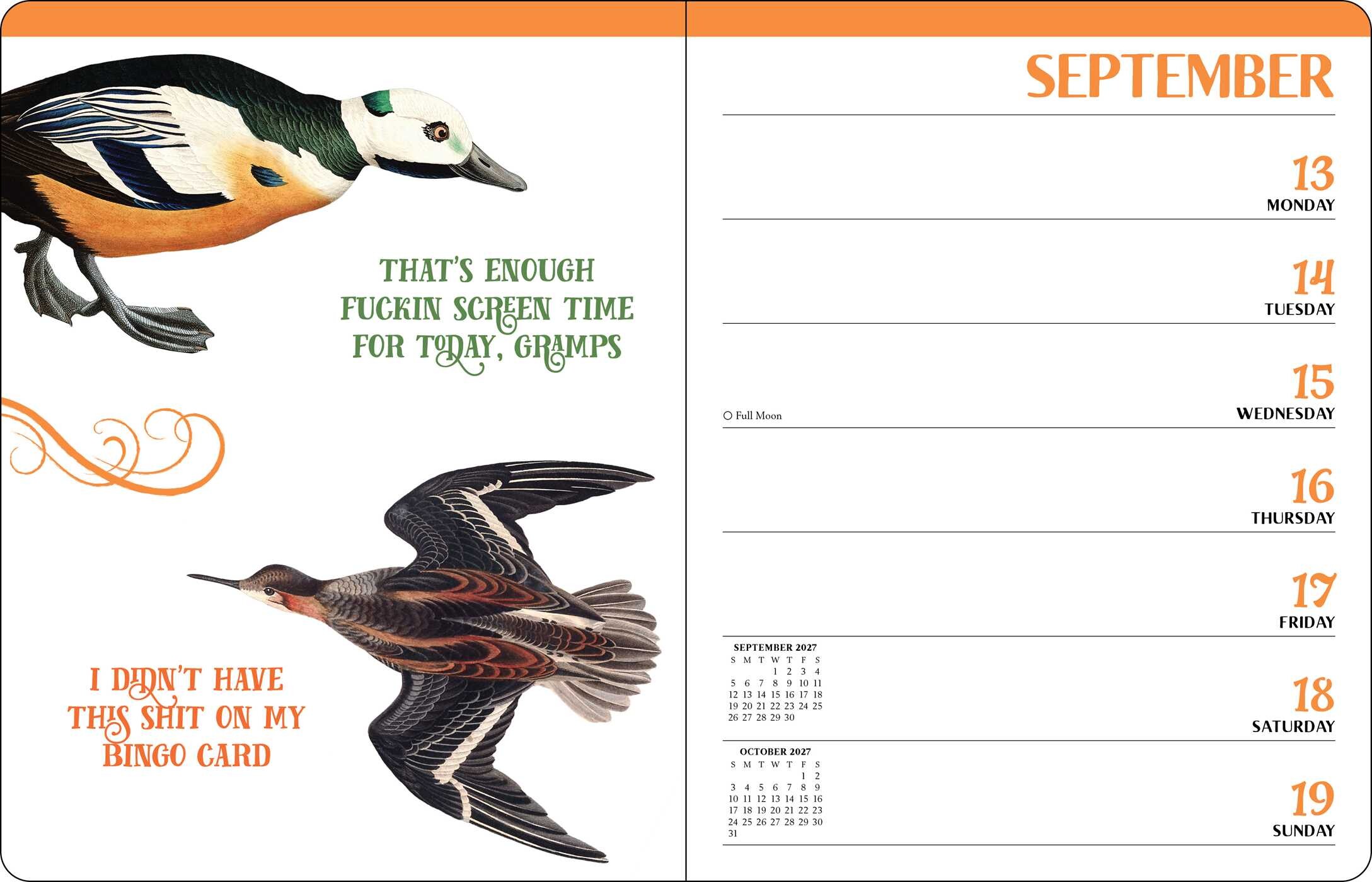 Effin' Birds 2027 Monthly/Weekly Planner Calendar