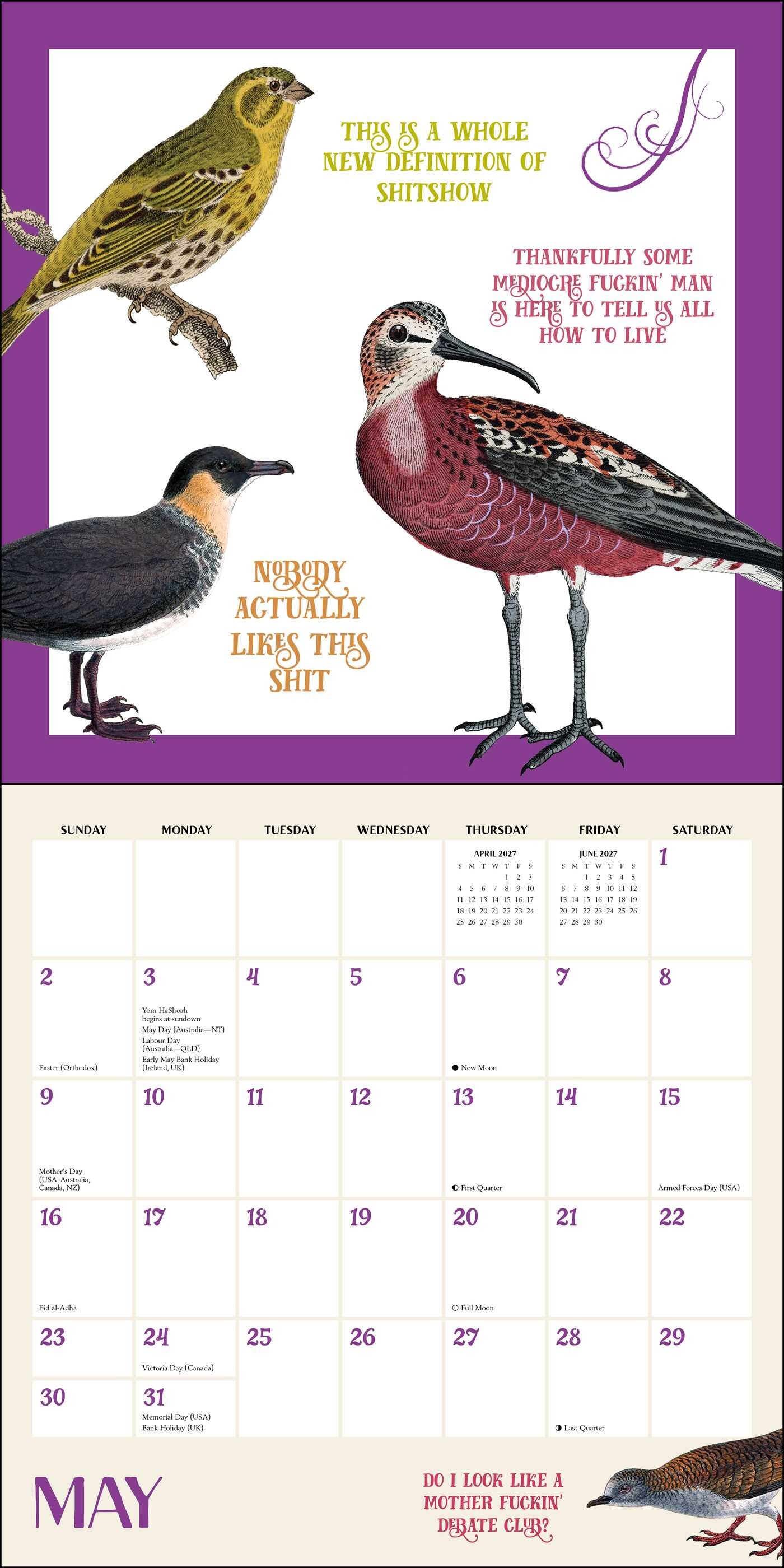 Effin' Birds 2027 Wall Calendar