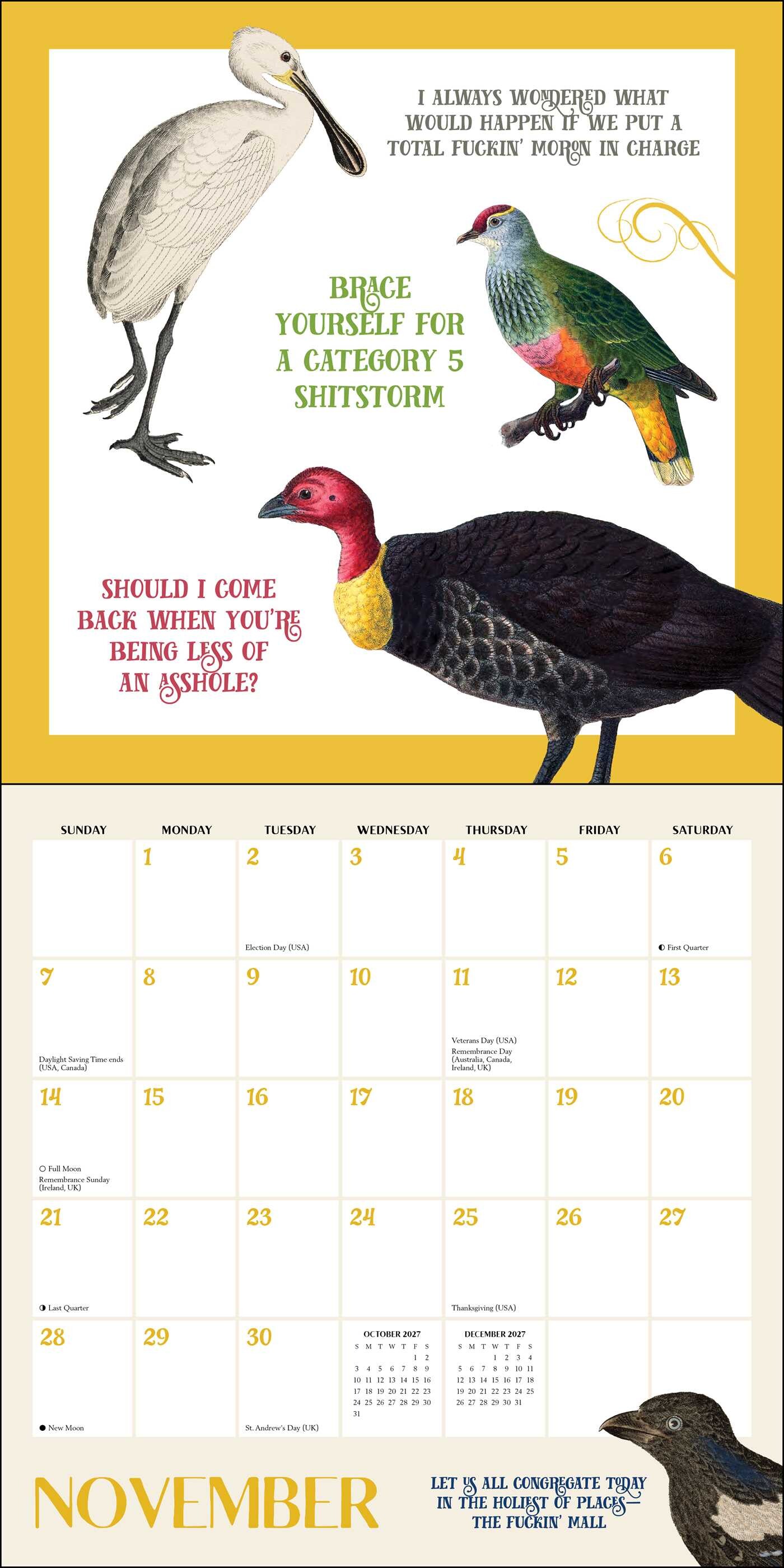 Effin' Birds 2027 Wall Calendar