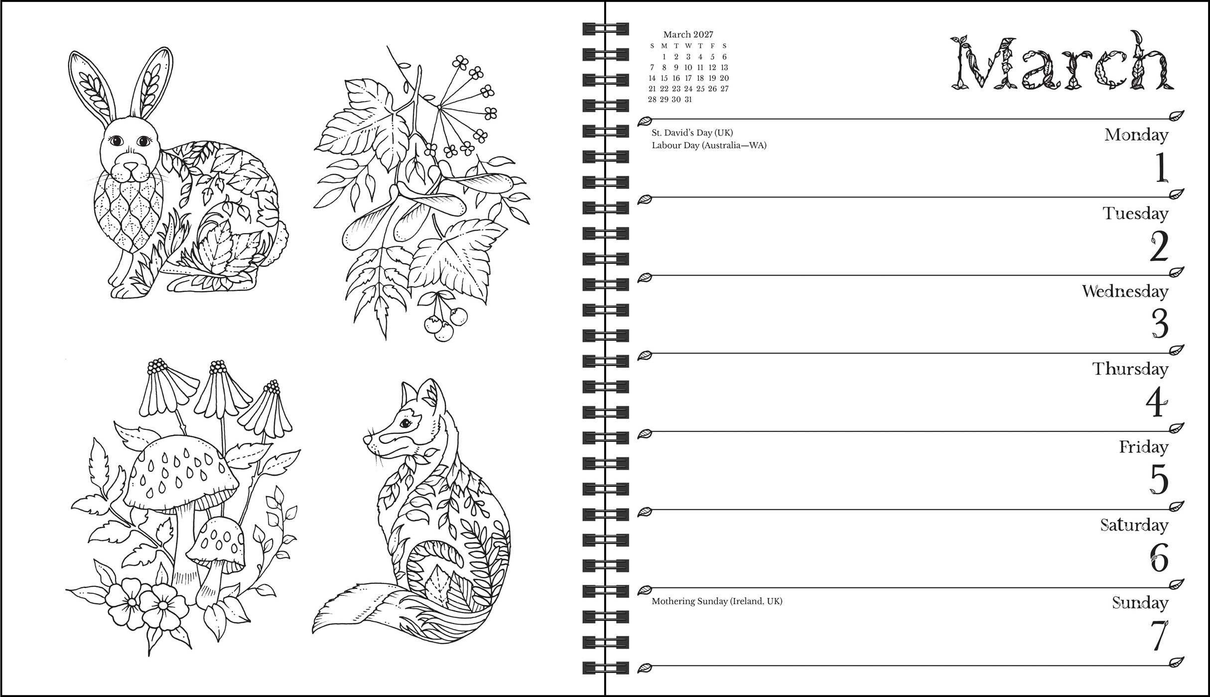 Johanna Basford 2027 Weekly Coloring Calendar