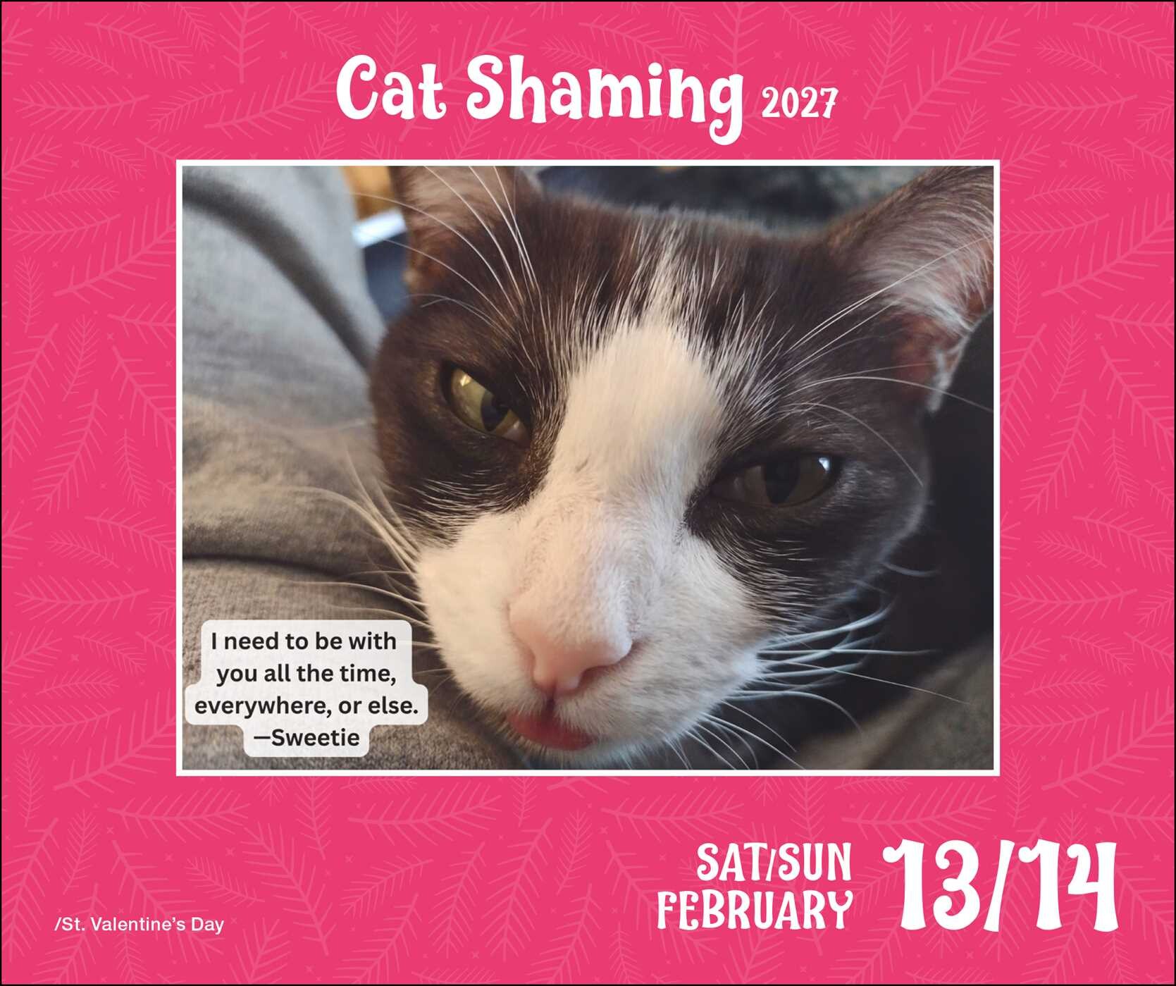 Cat Shaming 2027 Day-to-Day Calendar