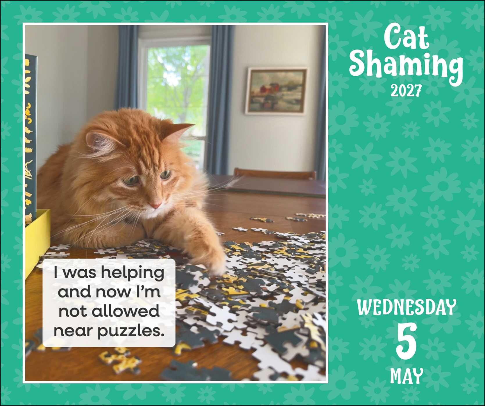 Cat Shaming 2027 Day-to-Day Calendar