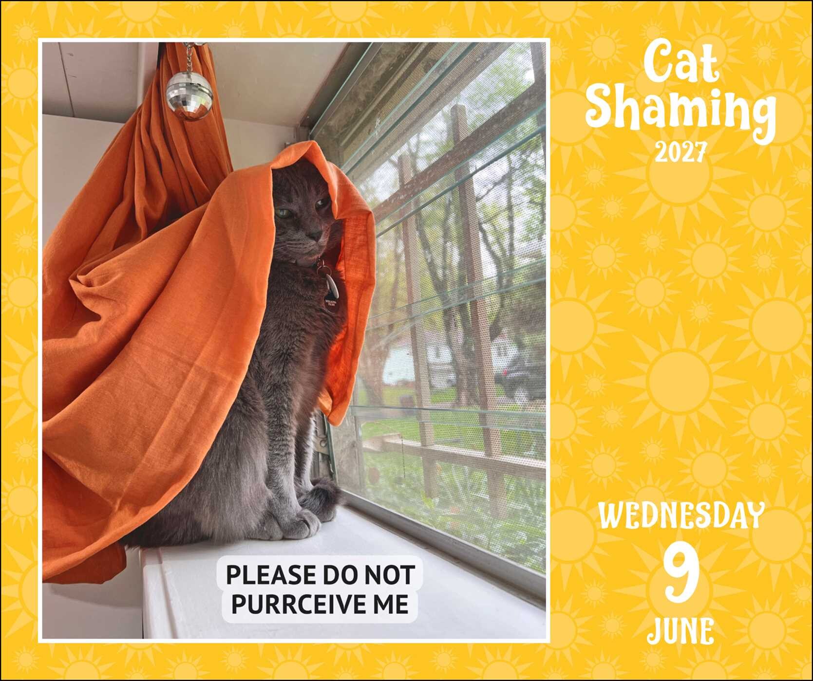 Cat Shaming 2027 Day-to-Day Calendar