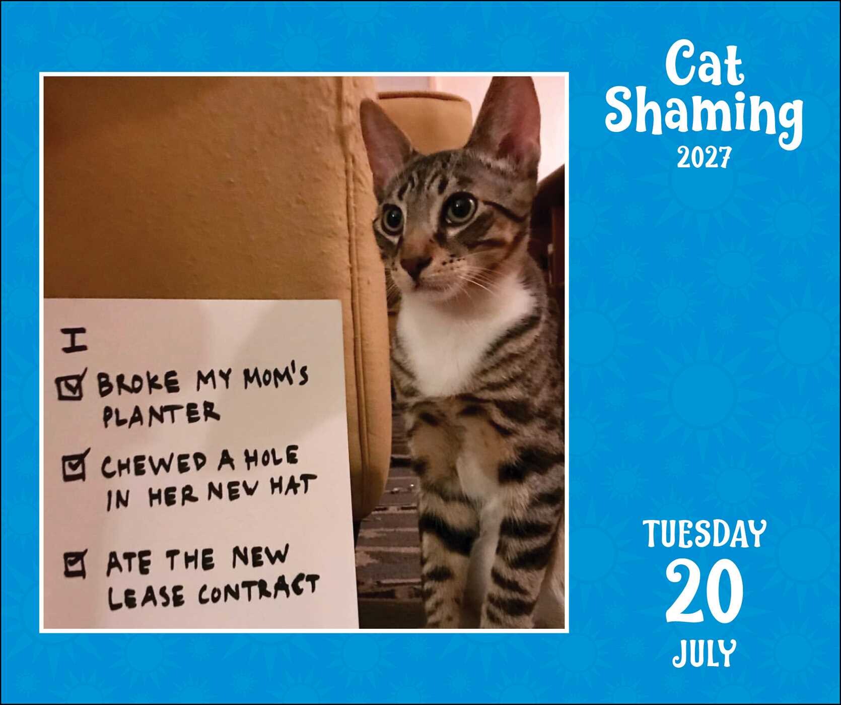 Cat Shaming 2027 Day-to-Day Calendar