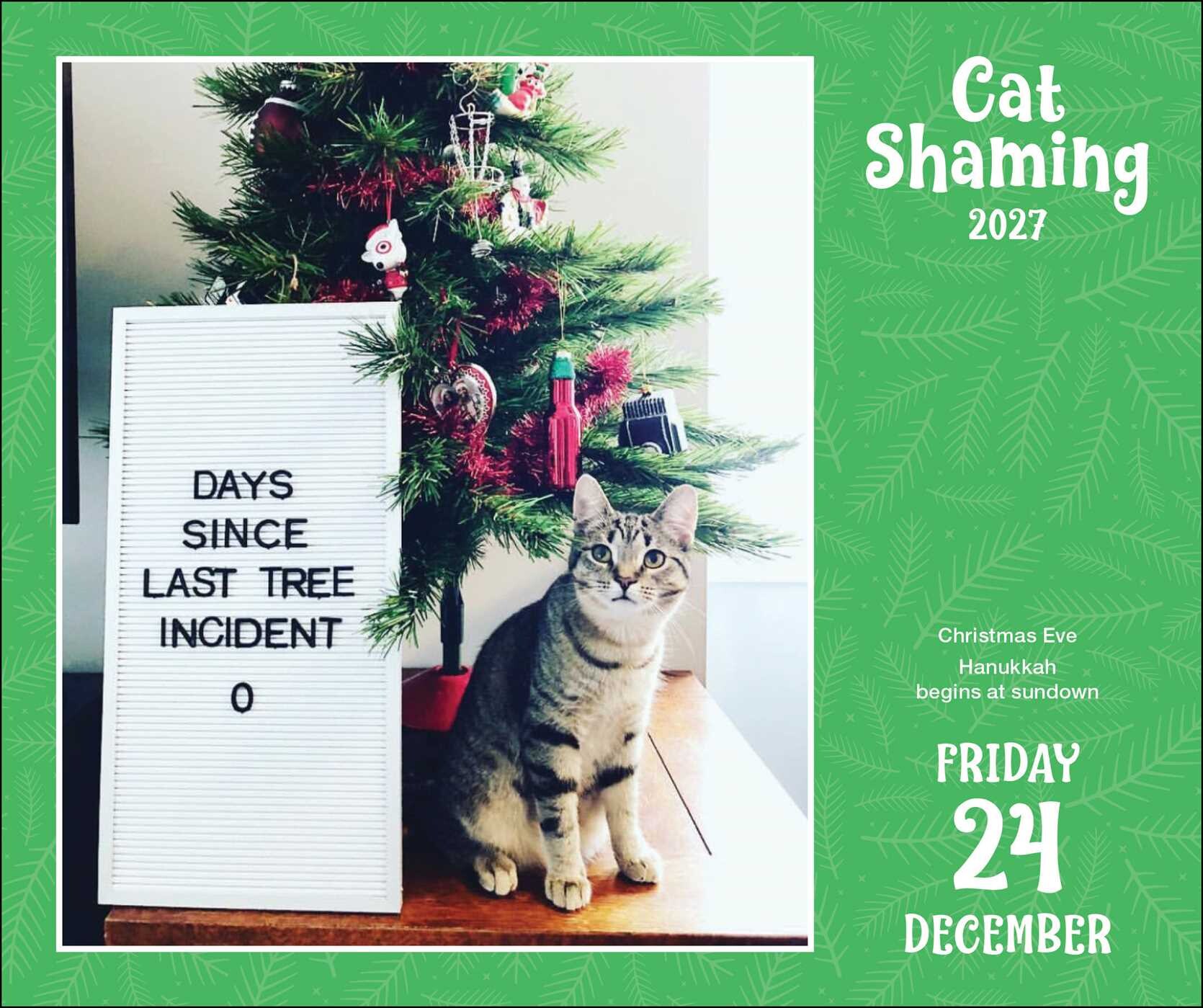 Cat Shaming 2027 Day-to-Day Calendar