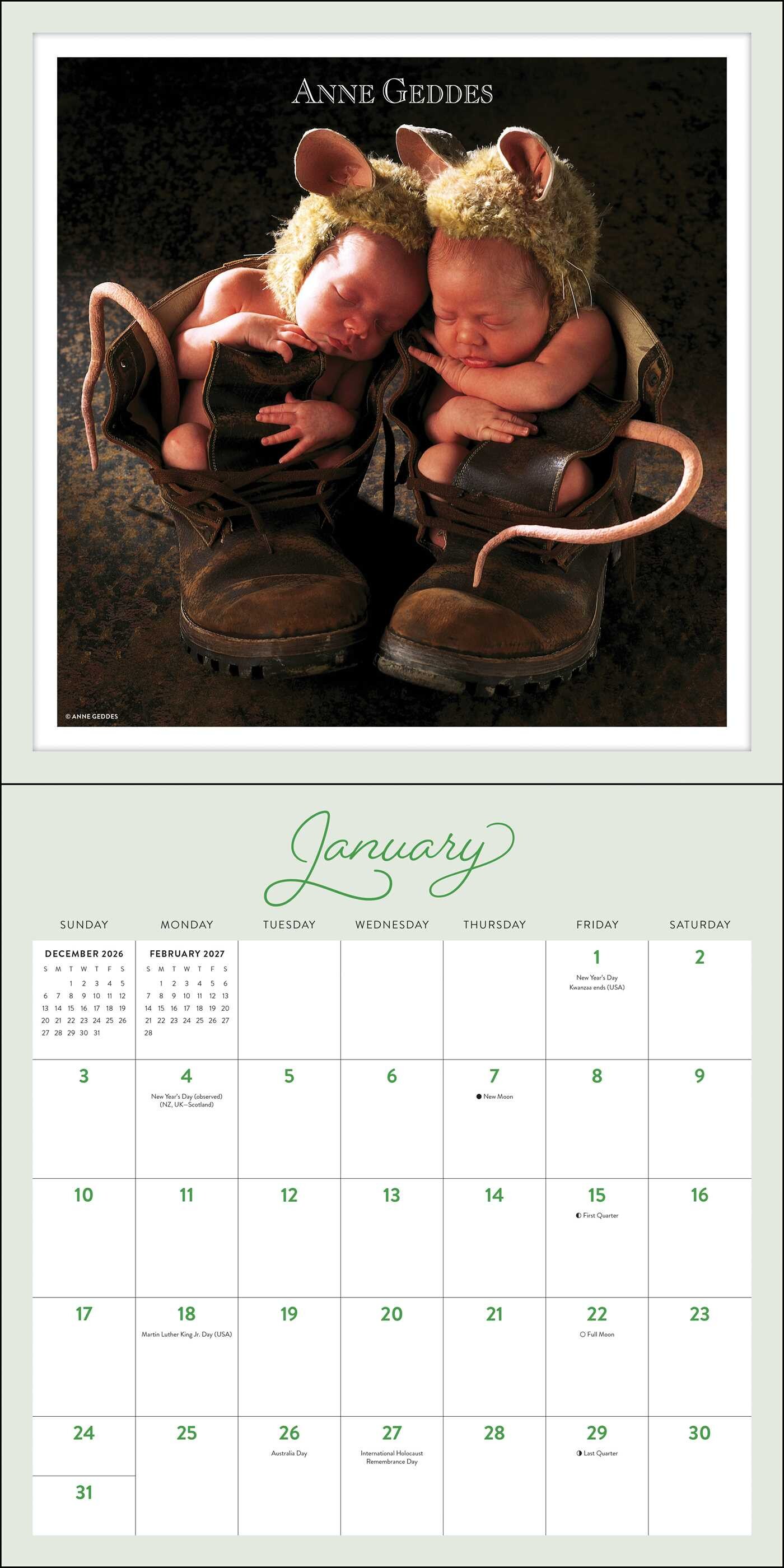 Anne Geddes 2027 Wall Calendar