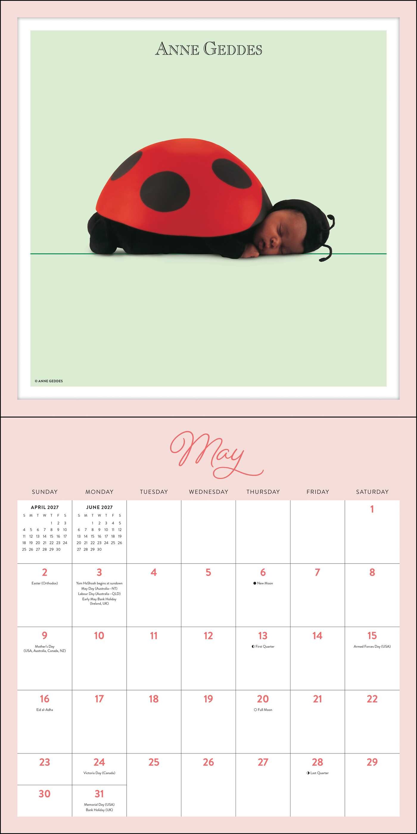 Anne Geddes 2027 Wall Calendar
