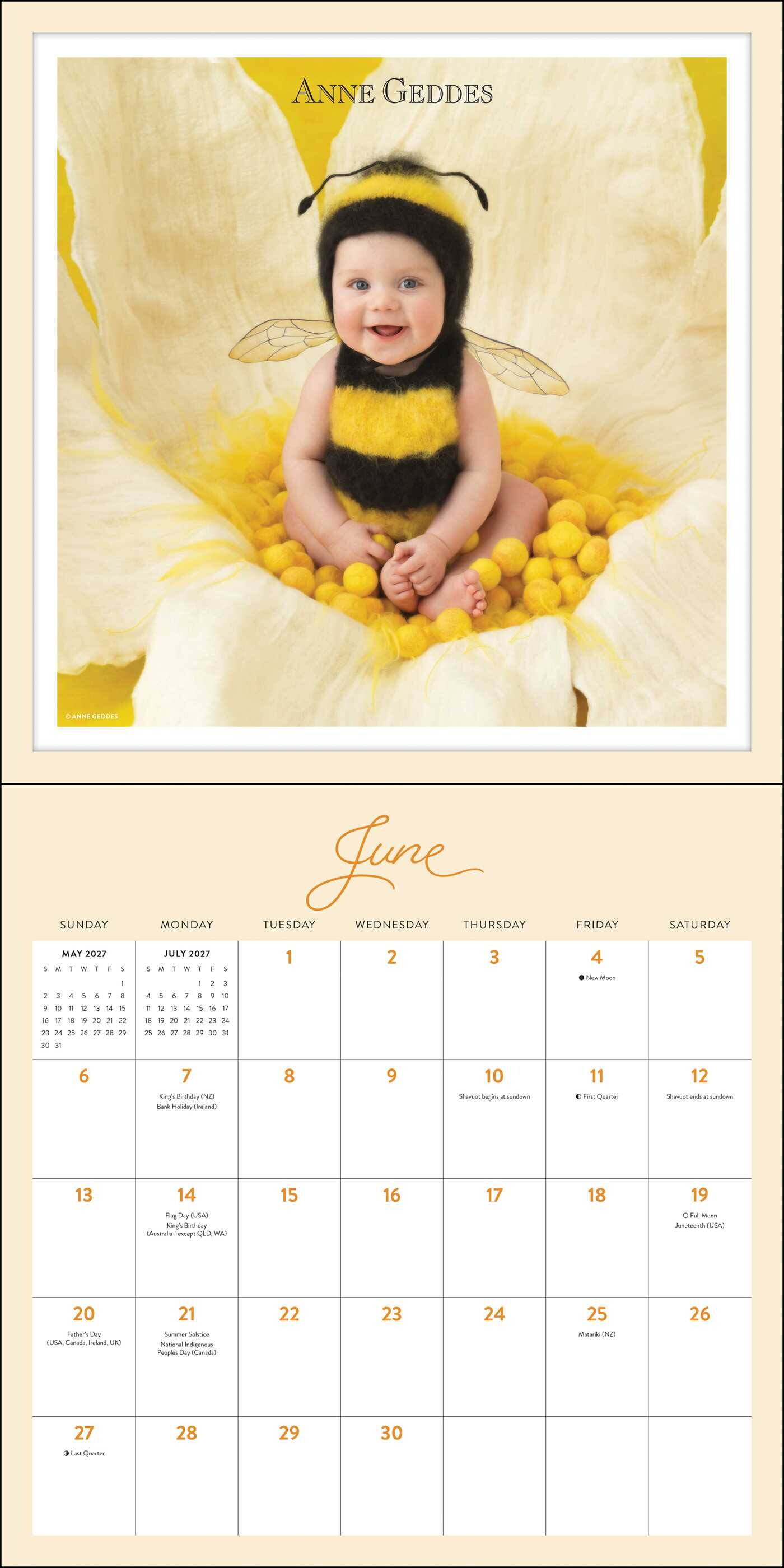 Anne Geddes 2027 Wall Calendar