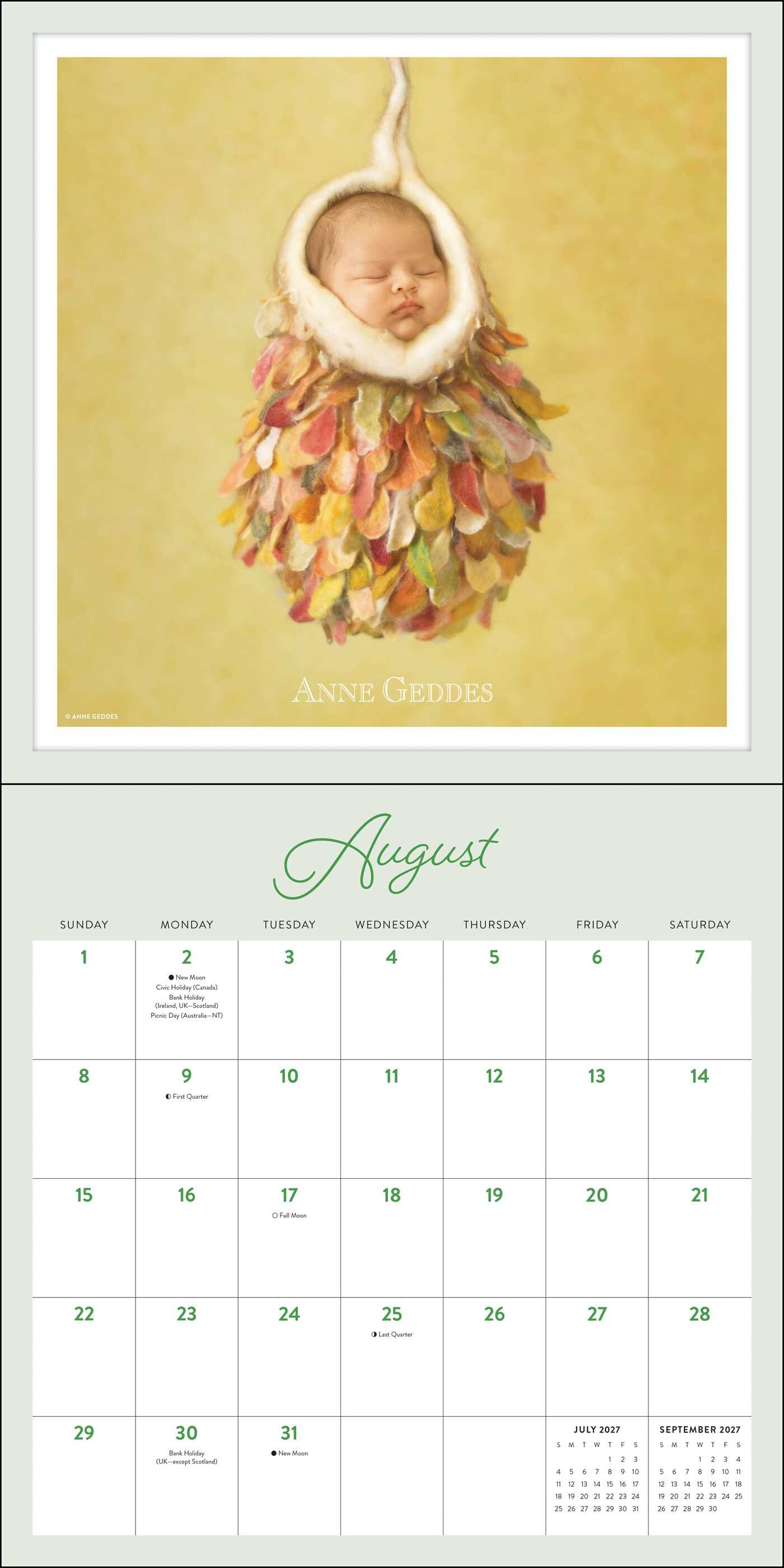 Anne Geddes 2027 Wall Calendar