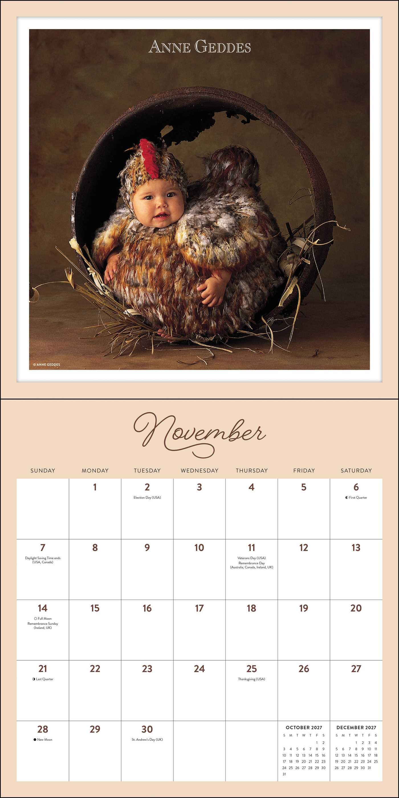 Anne Geddes 2027 Wall Calendar