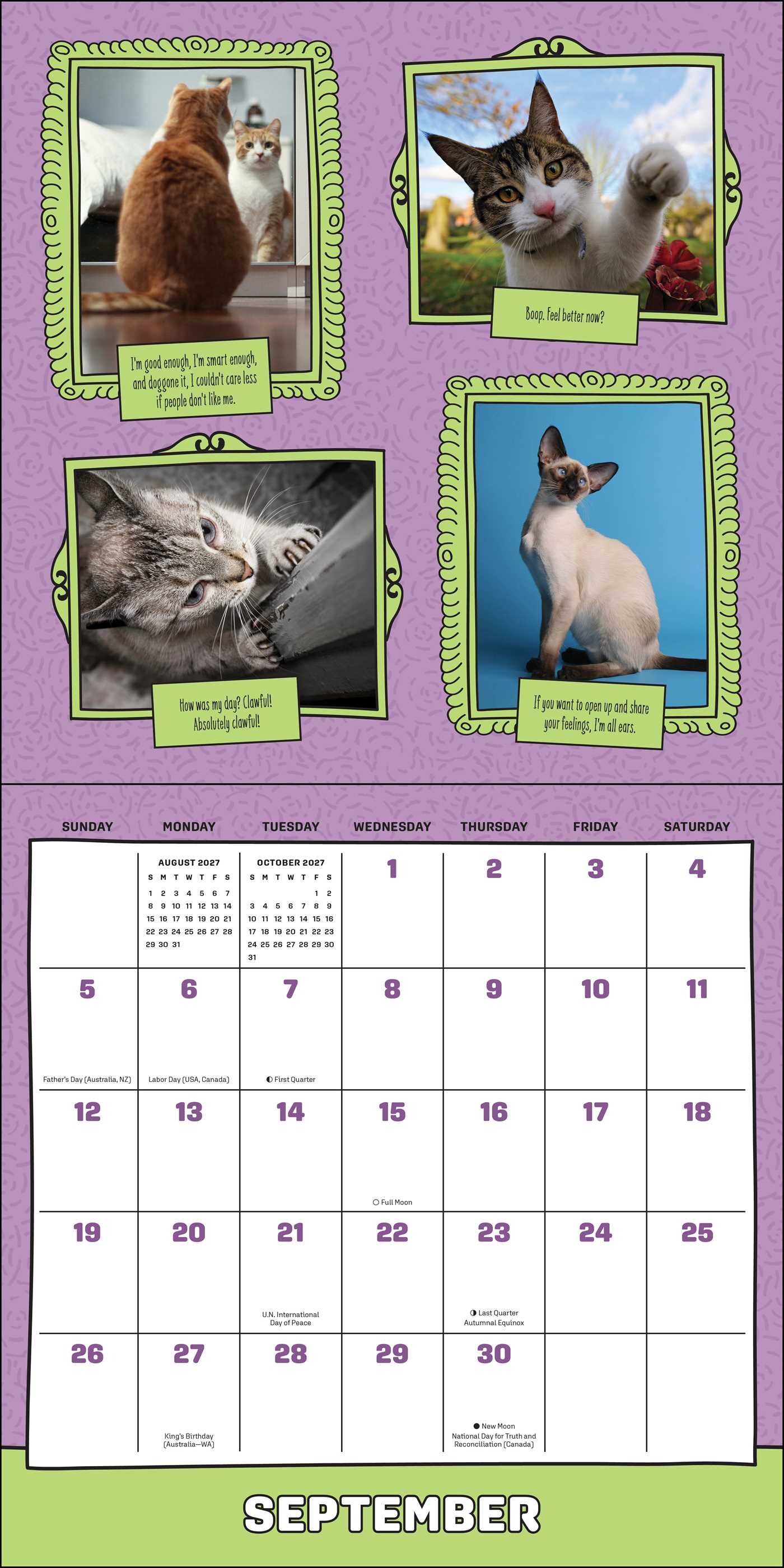 Cats Are Cheaper Than Therapy 2027 Wall Calendar