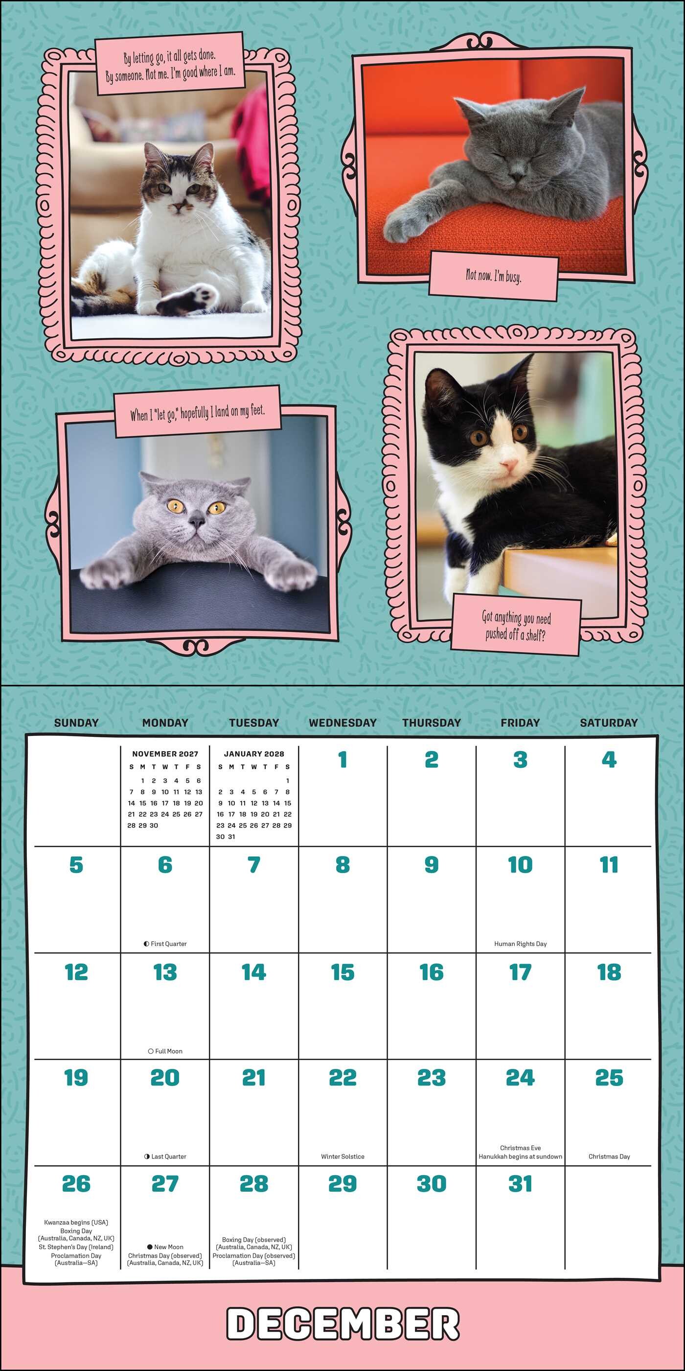 Cats Are Cheaper Than Therapy 2027 Wall Calendar
