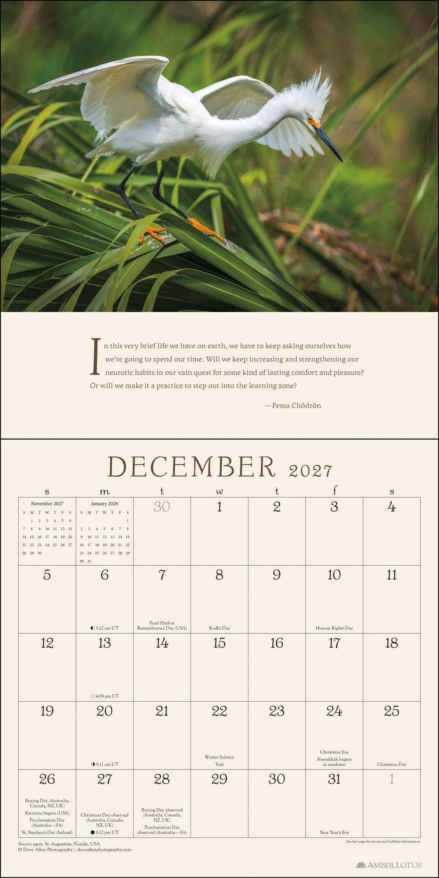 Pema ChÃ¶drÃ¶n 2027 Wall Calendar