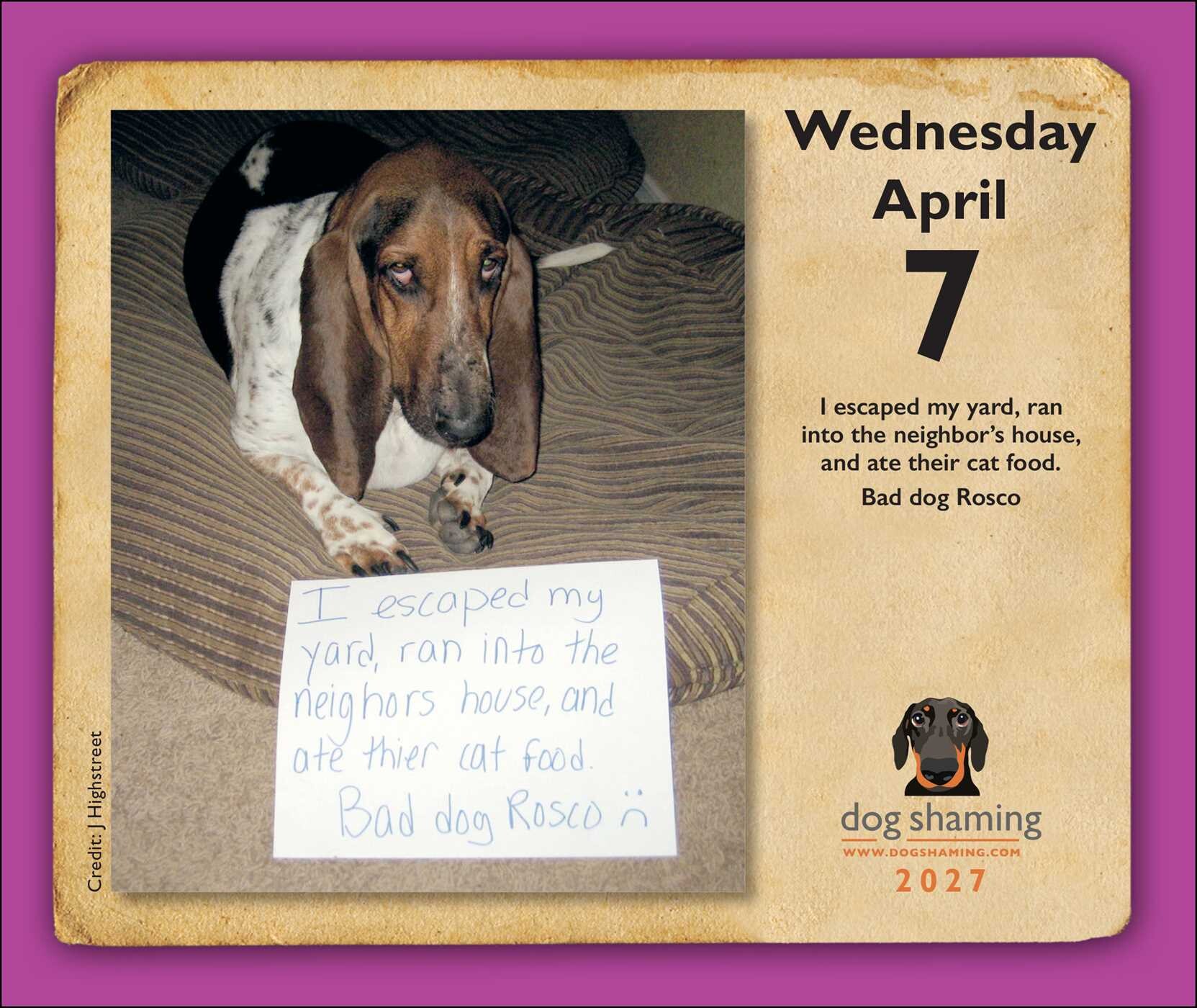 Dog Shaming 2027 Day-to-Day Calendar