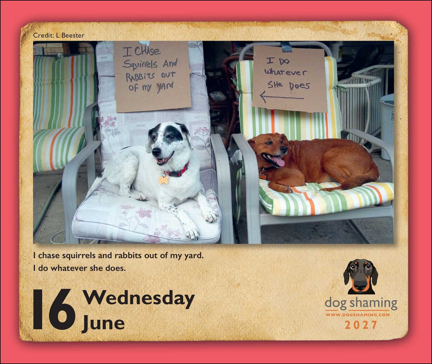 Dog Shaming 2027 Day-to-Day Calendar