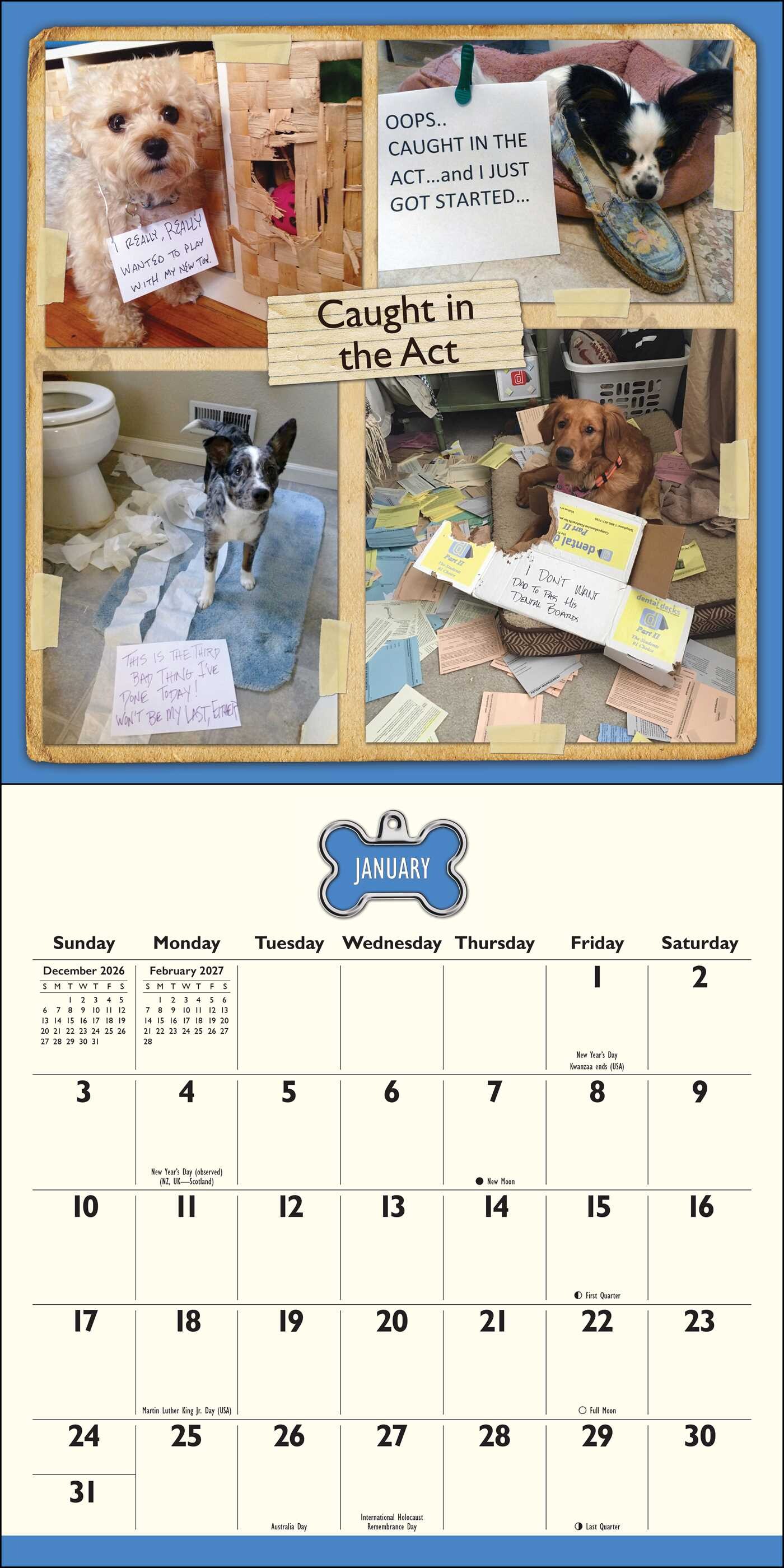 Dog Shaming 2027 Wall Calendar