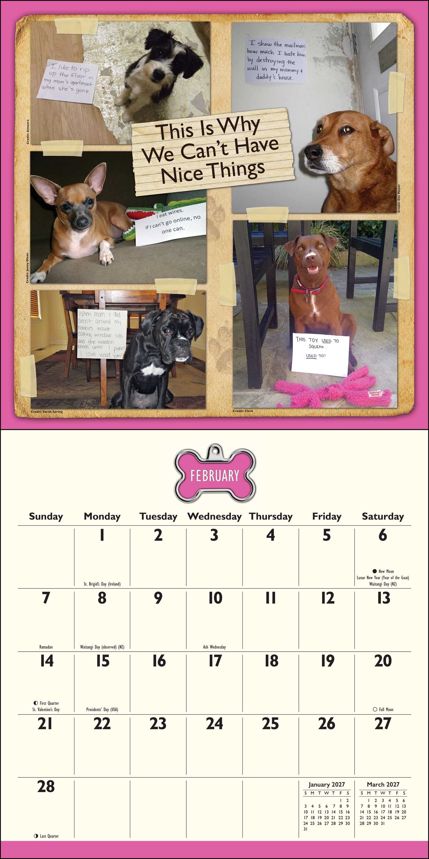 Dog Shaming 2027 Wall Calendar
