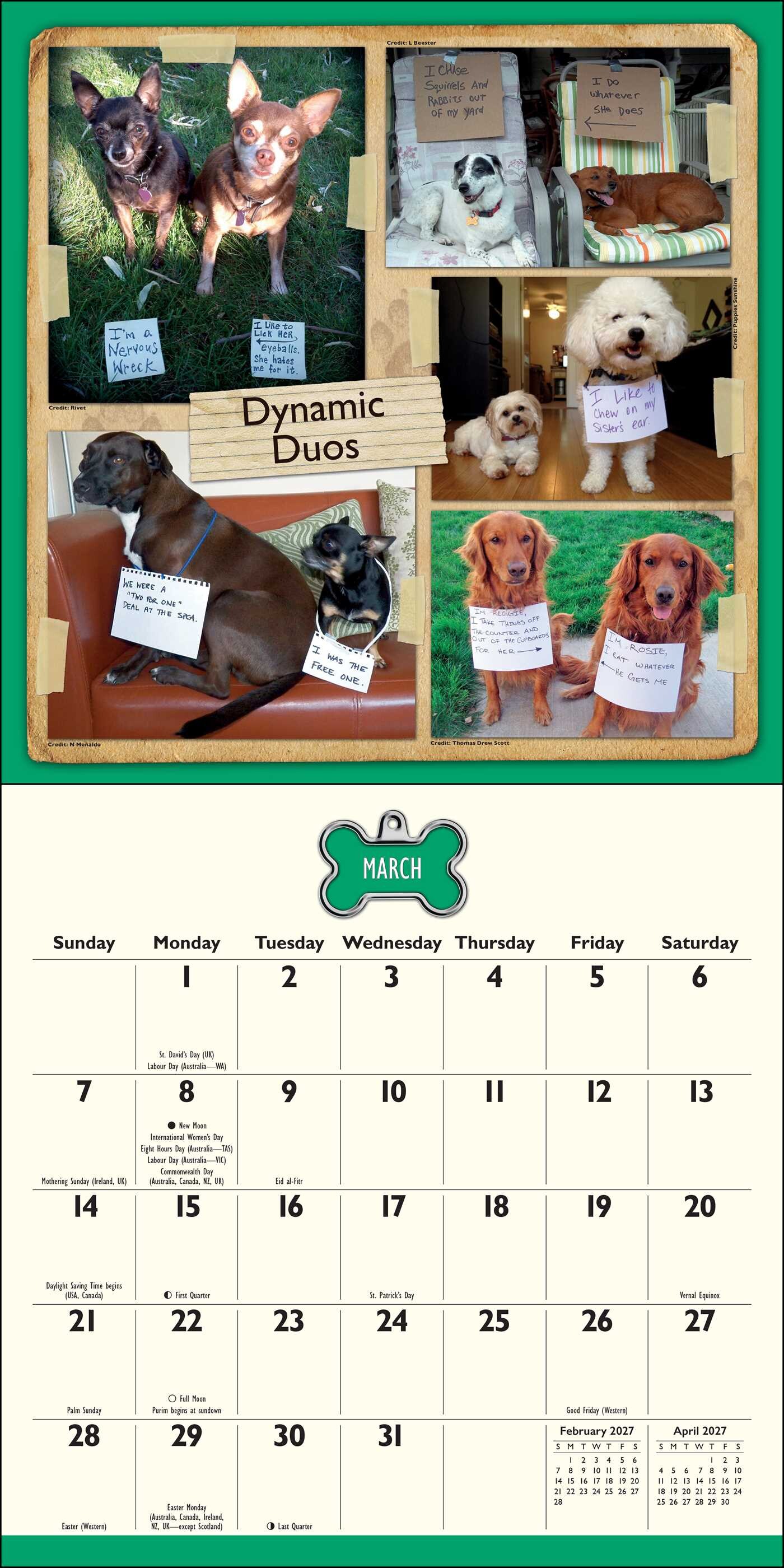 Dog Shaming 2027 Wall Calendar