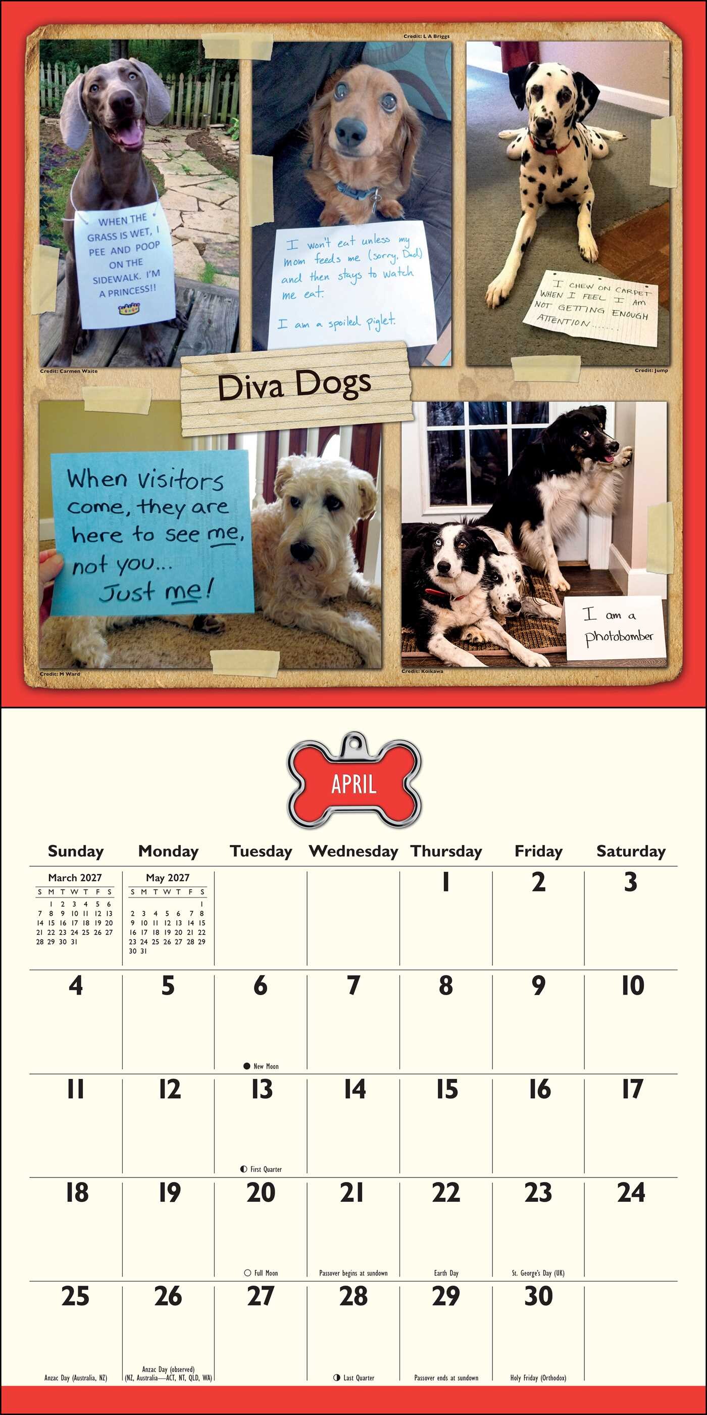 Dog Shaming 2027 Wall Calendar