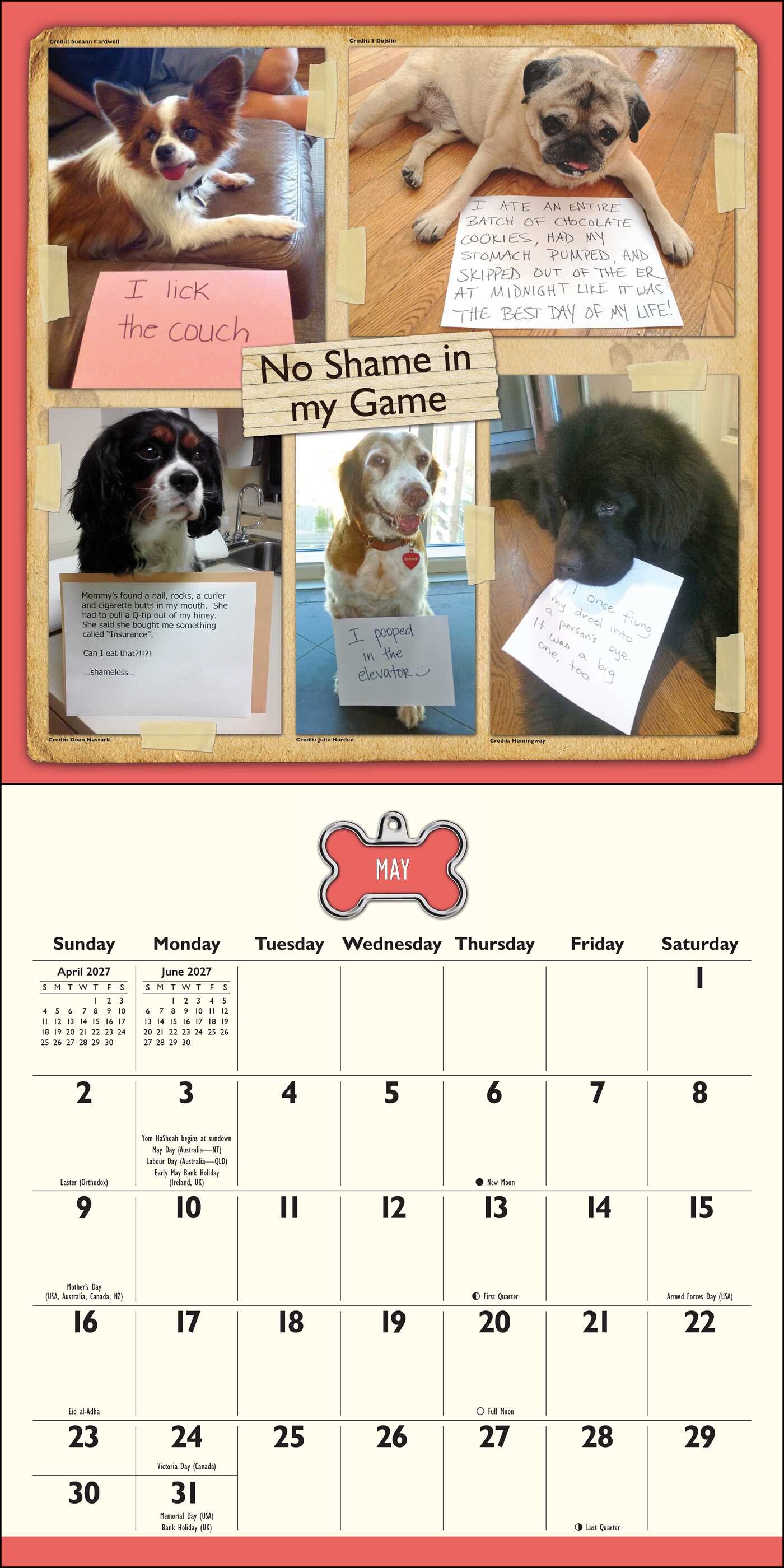 Dog Shaming 2027 Wall Calendar