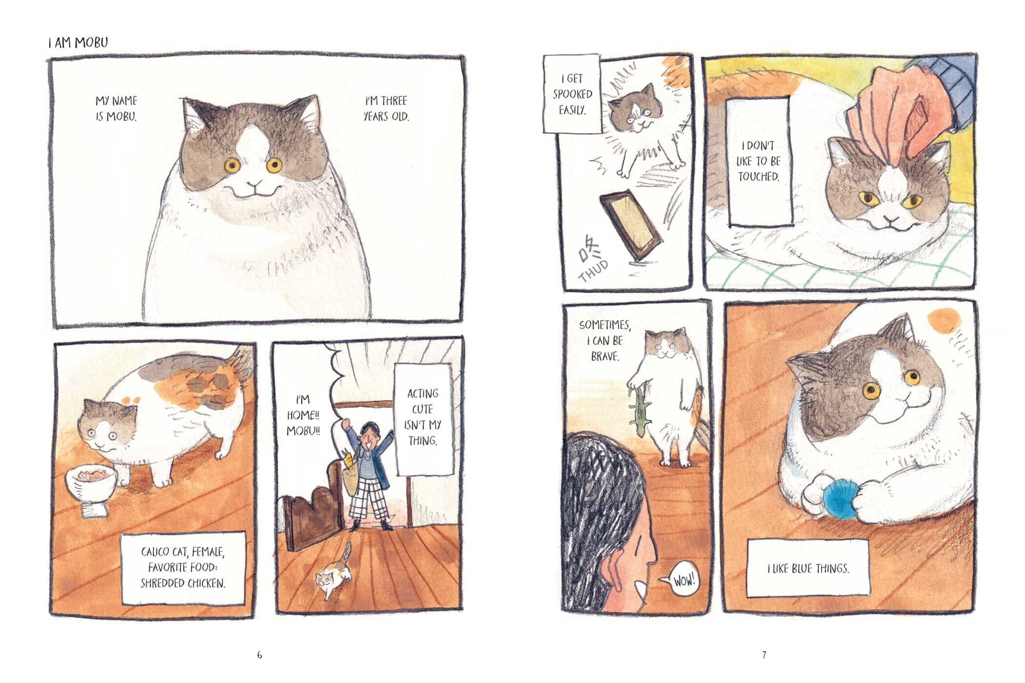 Mobu's Diary