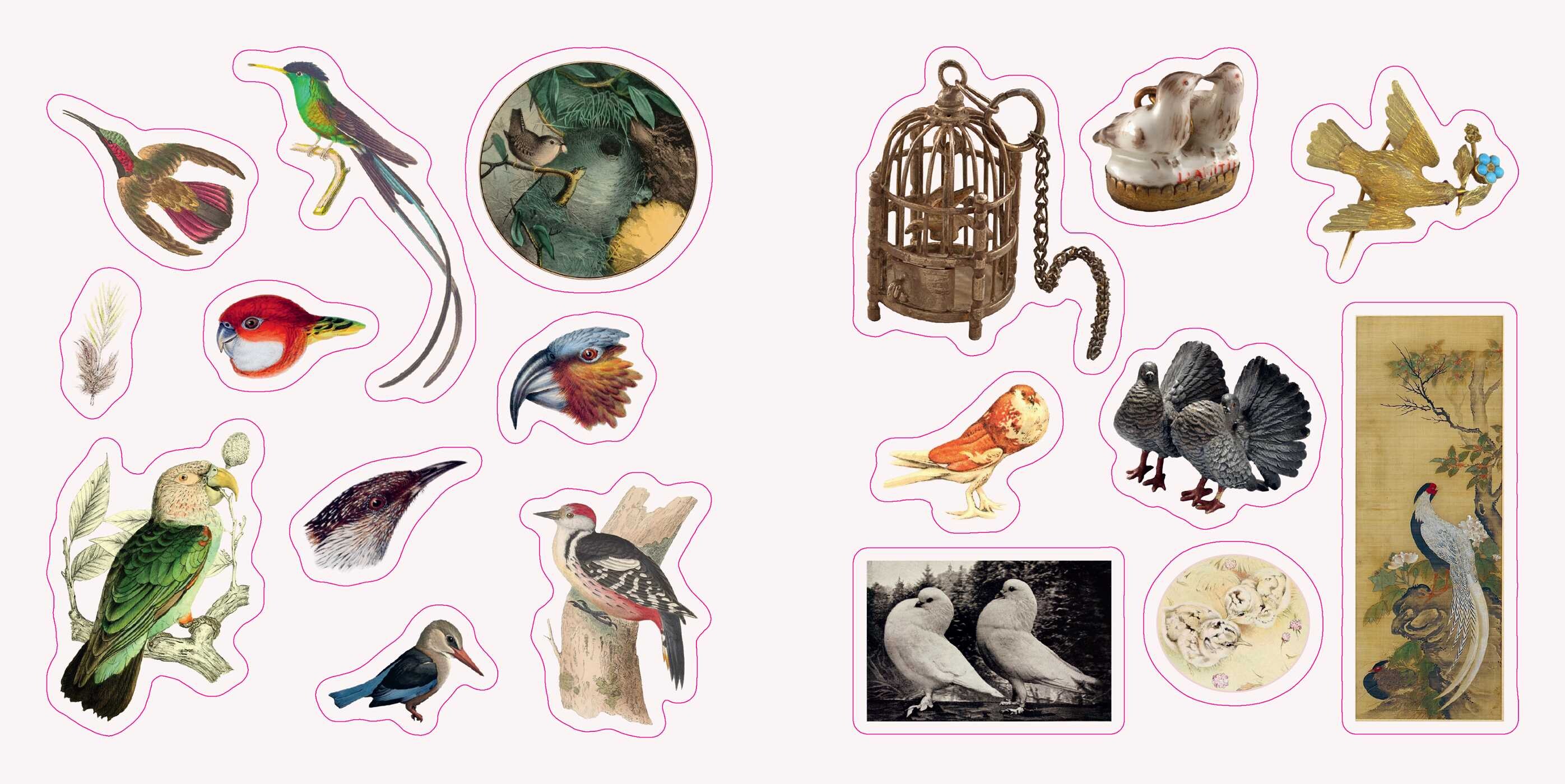 Birds: A Smithsonian Sticker Book