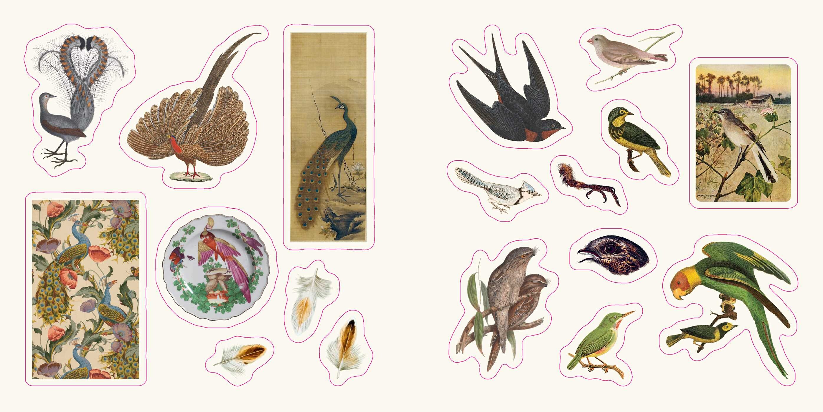 Birds: A Smithsonian Sticker Book