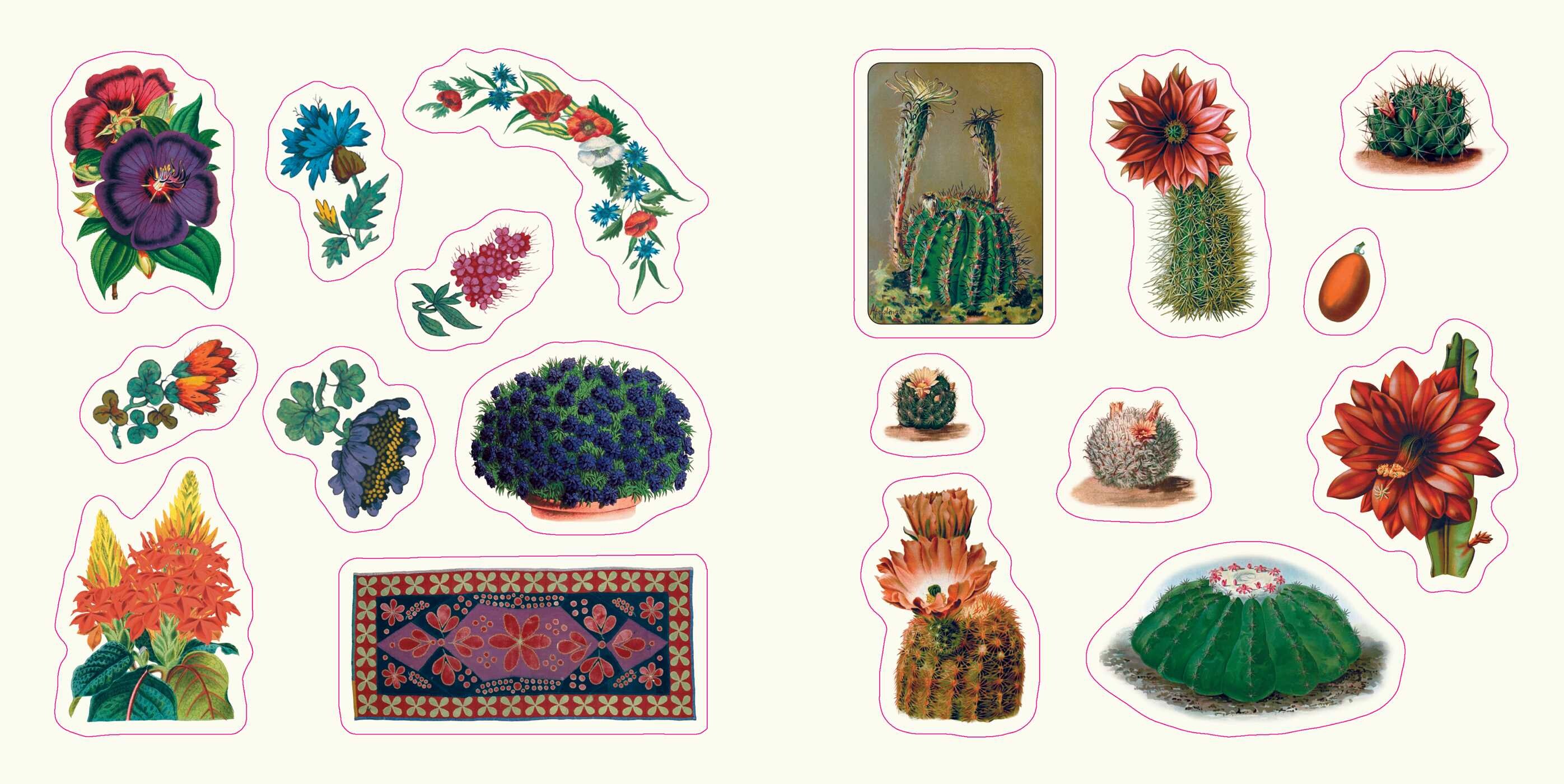 Botanicals: A Smithsonian Sticker Book