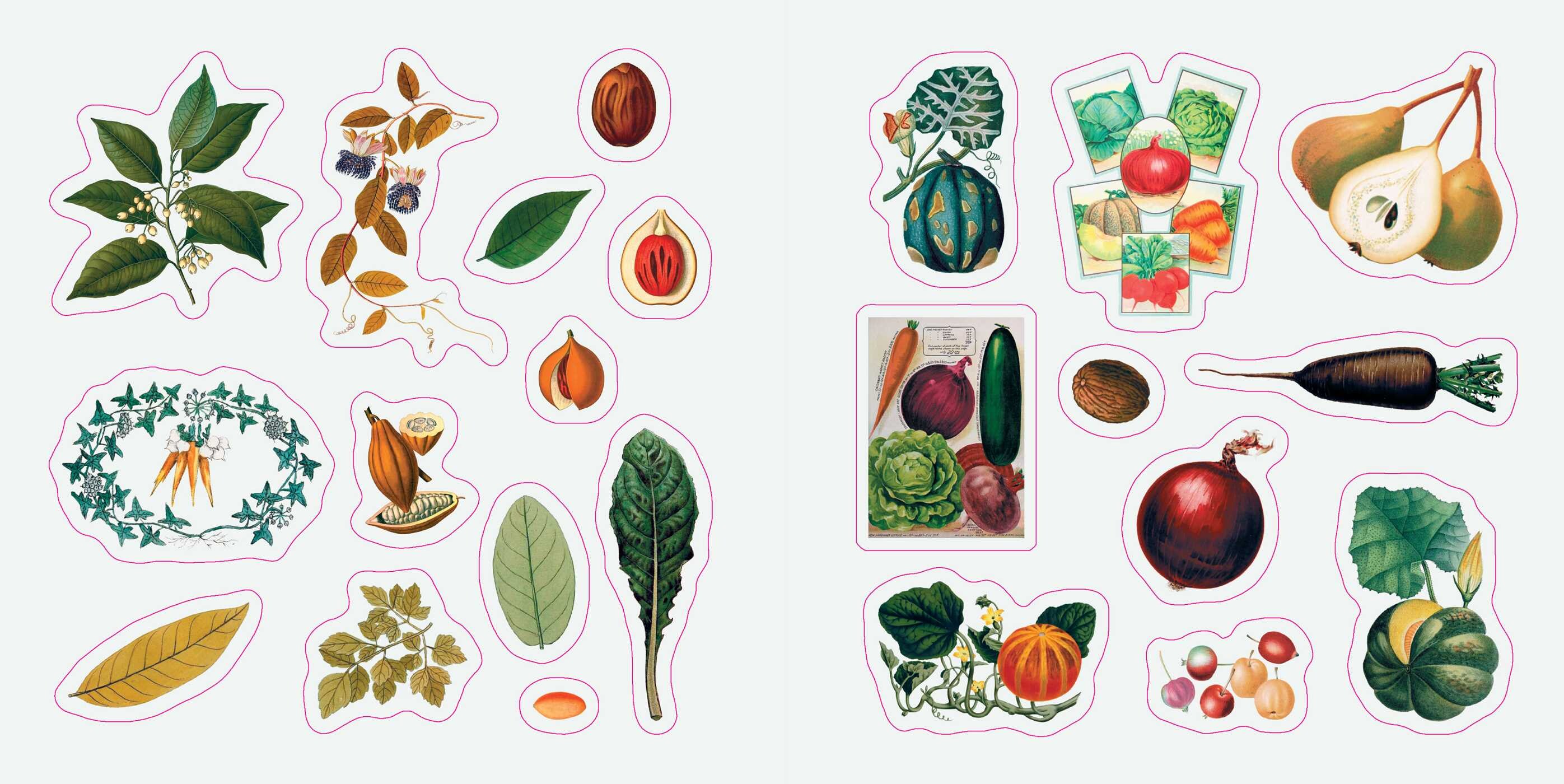 Botanicals: A Smithsonian Sticker Book