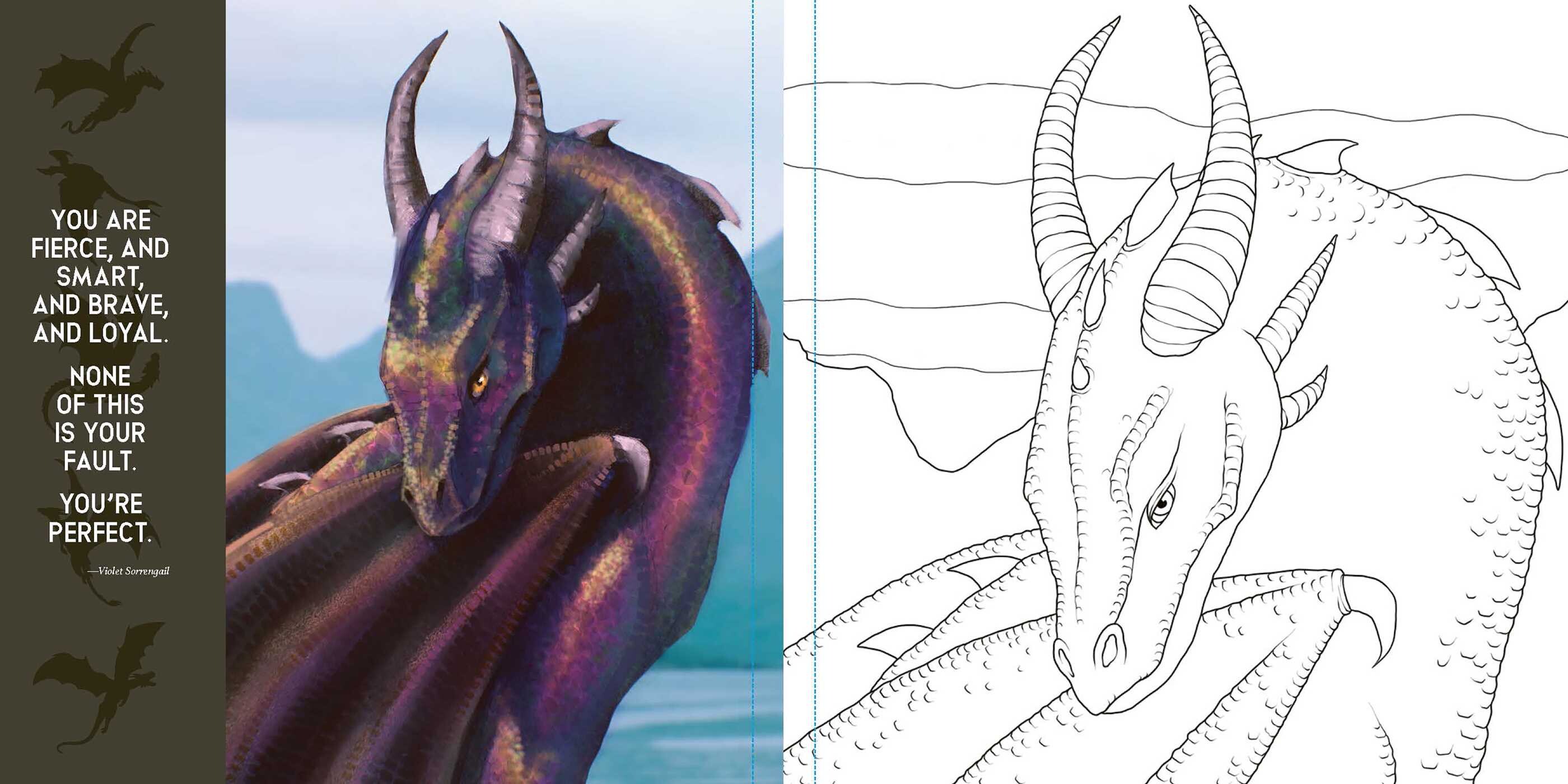 Onyx Storm The Official Coloring Book