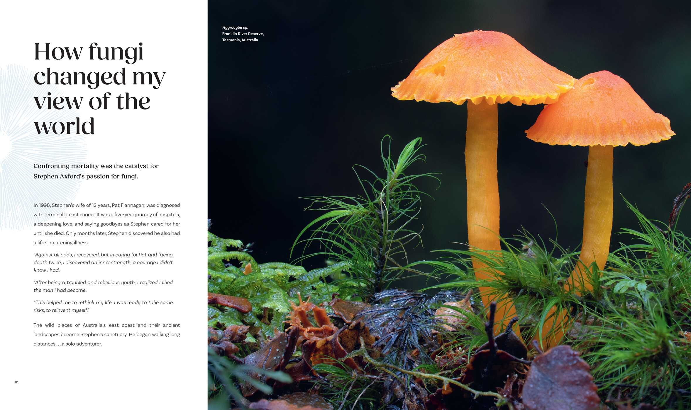 Planet Fungi