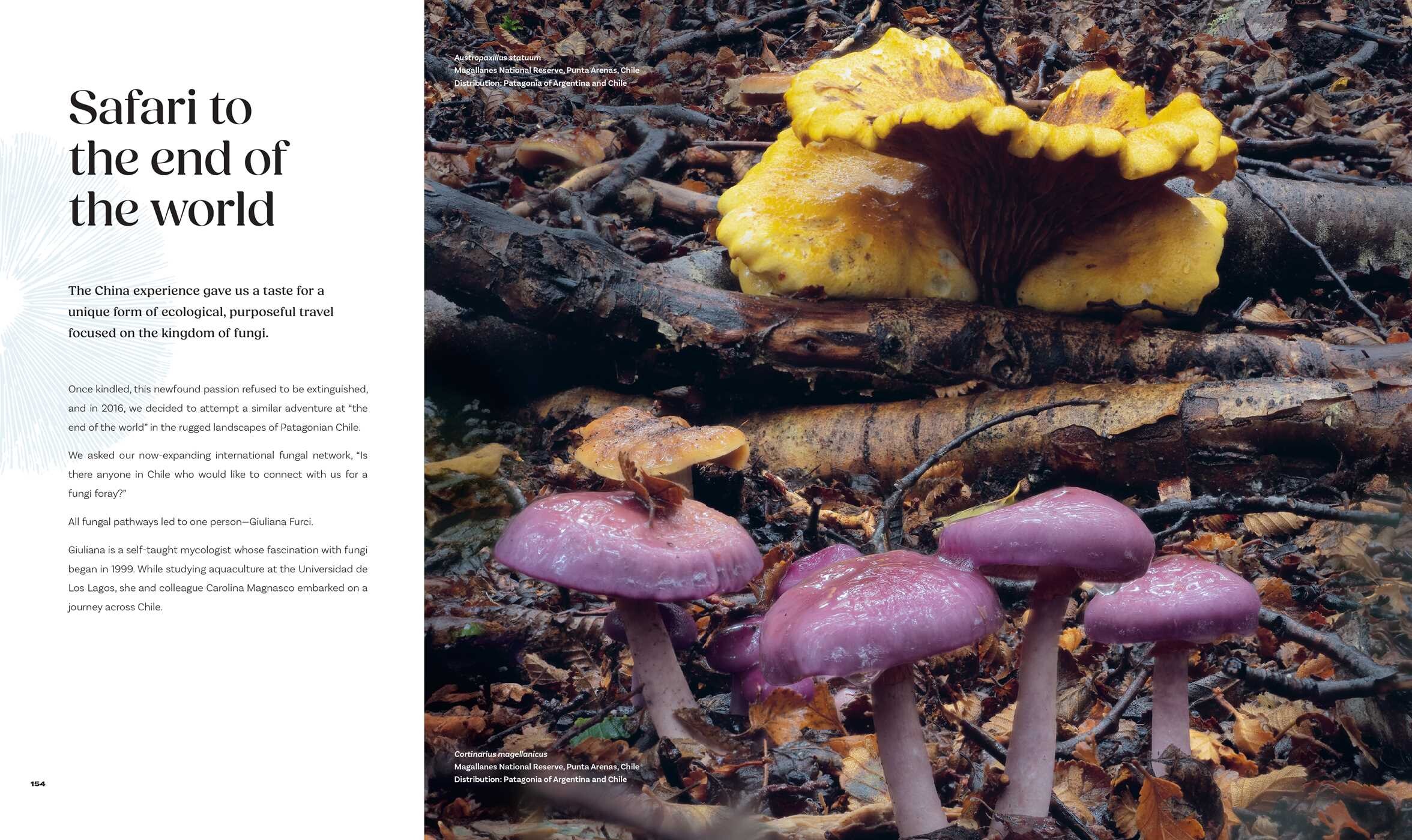 Planet Fungi