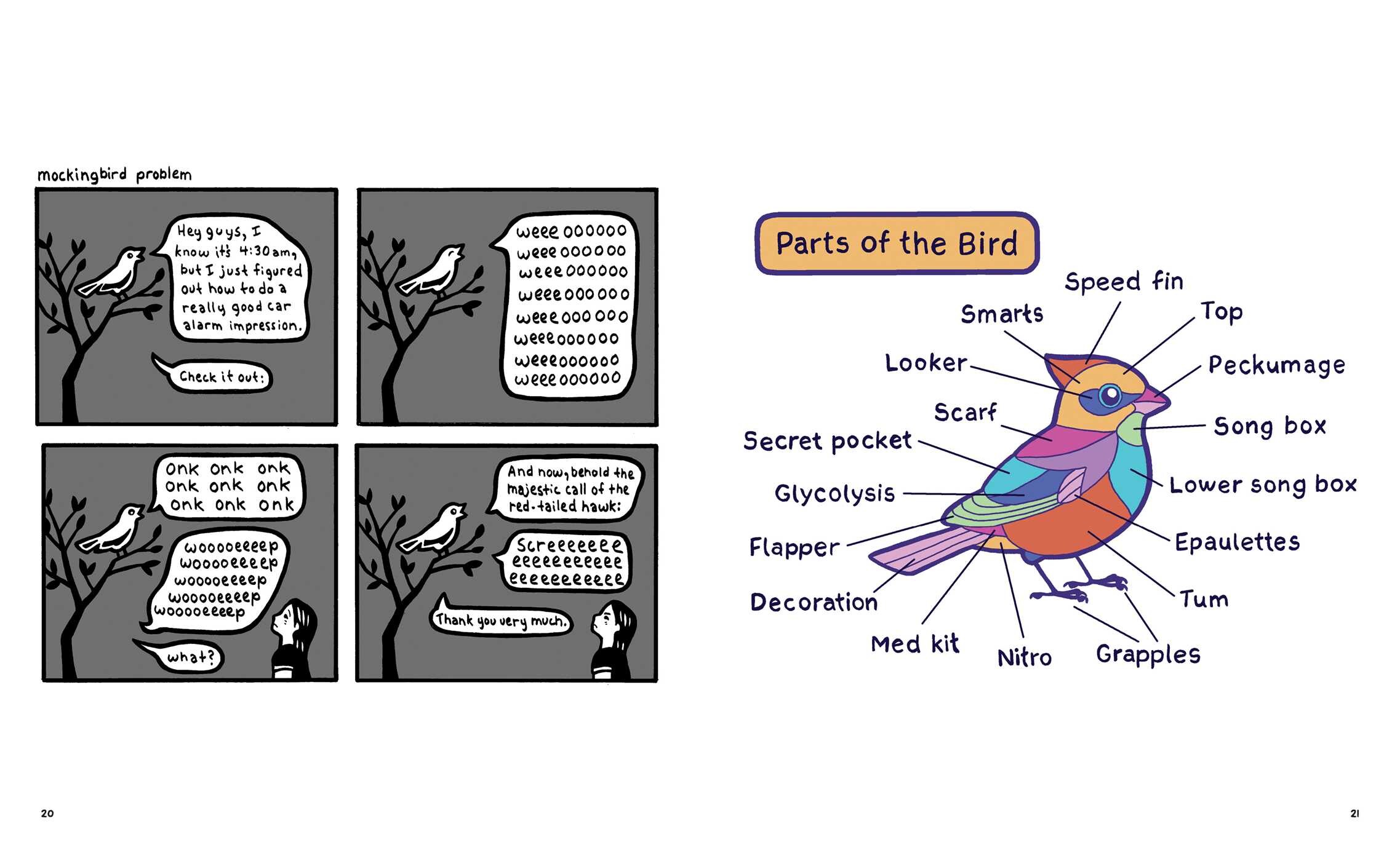 Birding Is My Favorite Video Game