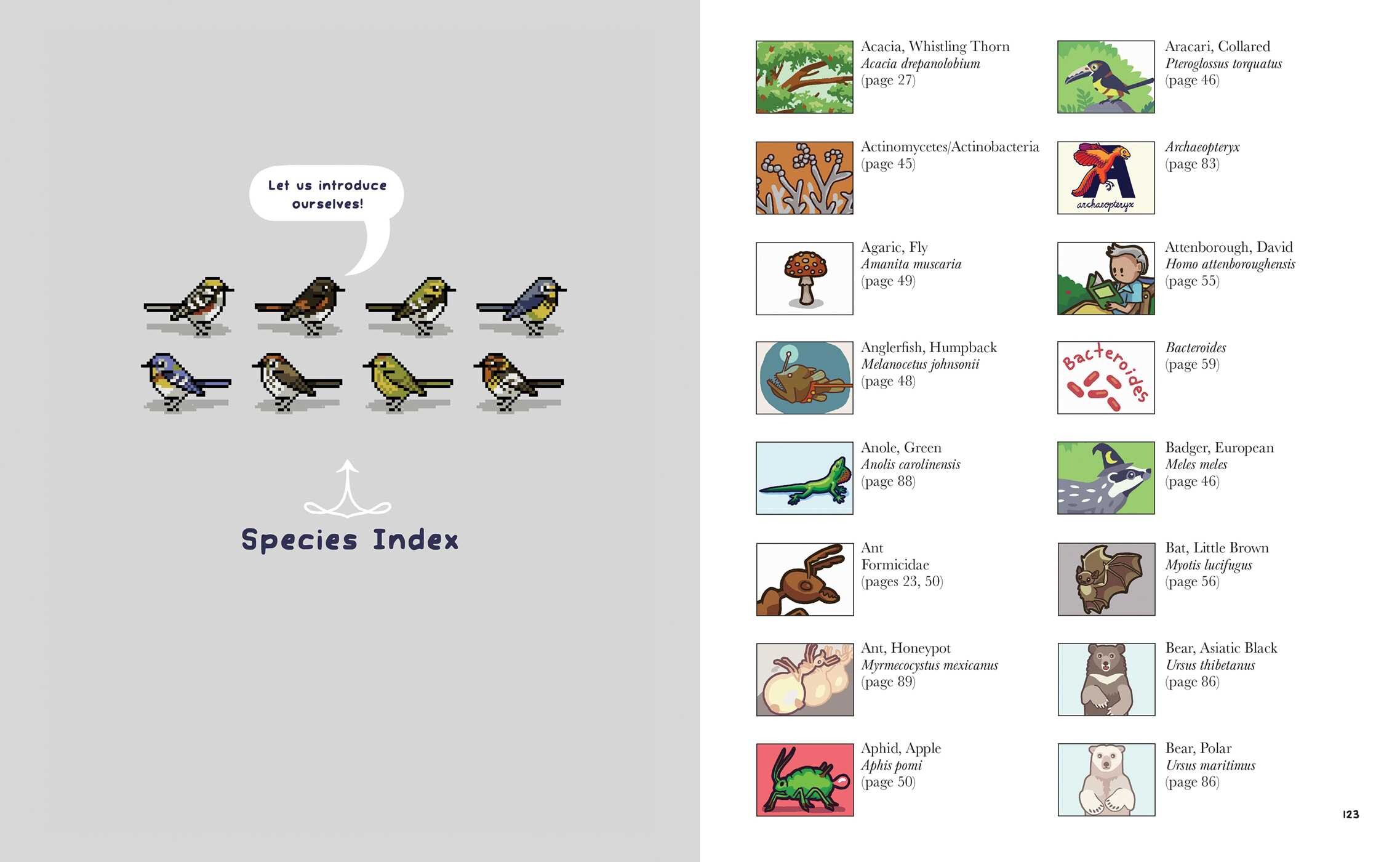 Birding Is My Favorite Video Game