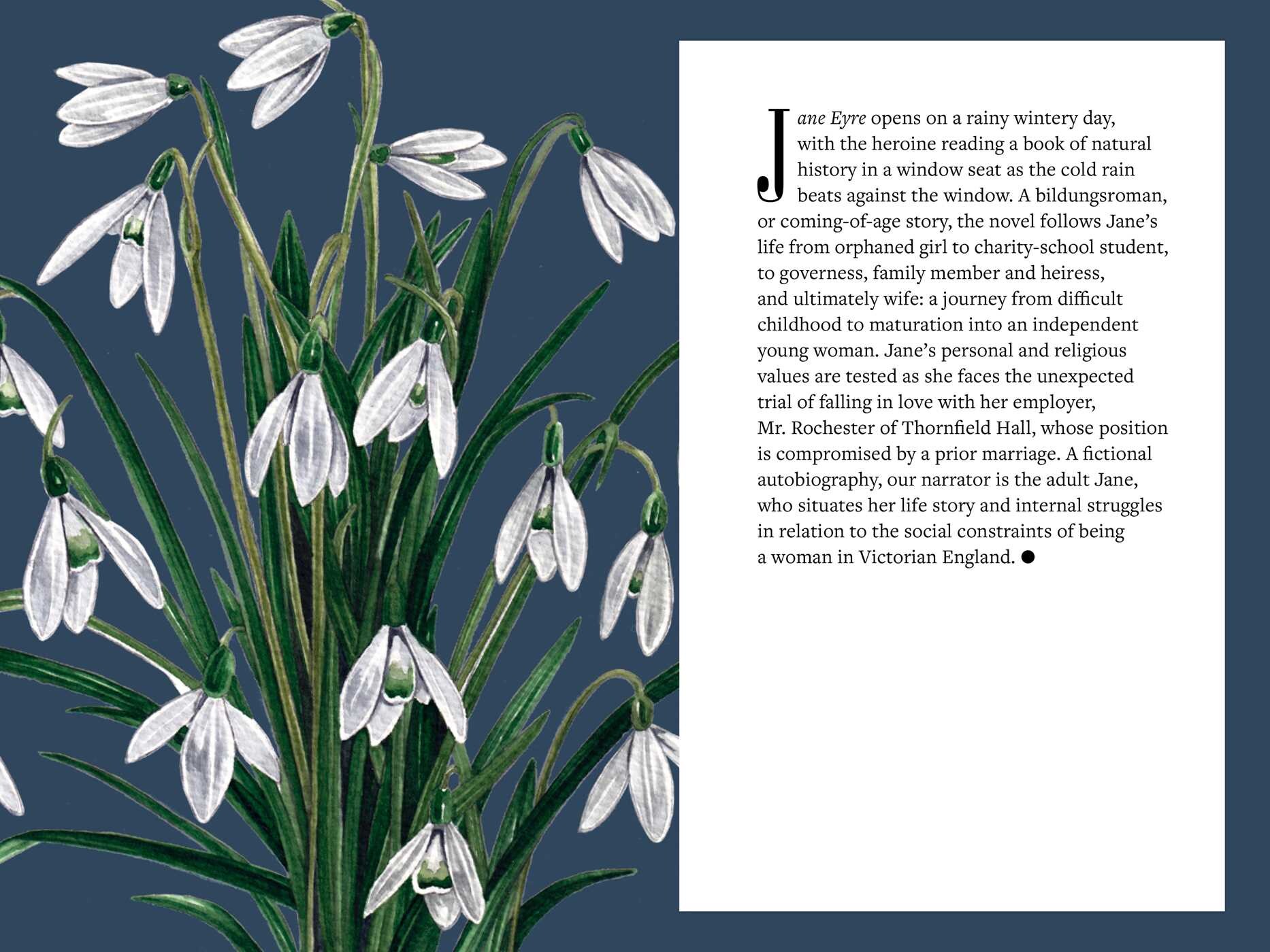 Brontë   Botany