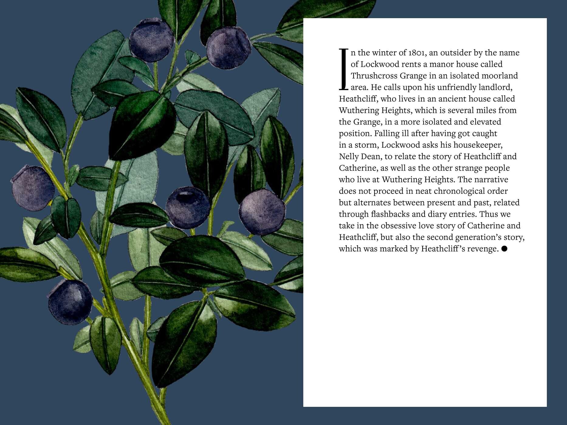 Brontë   Botany
