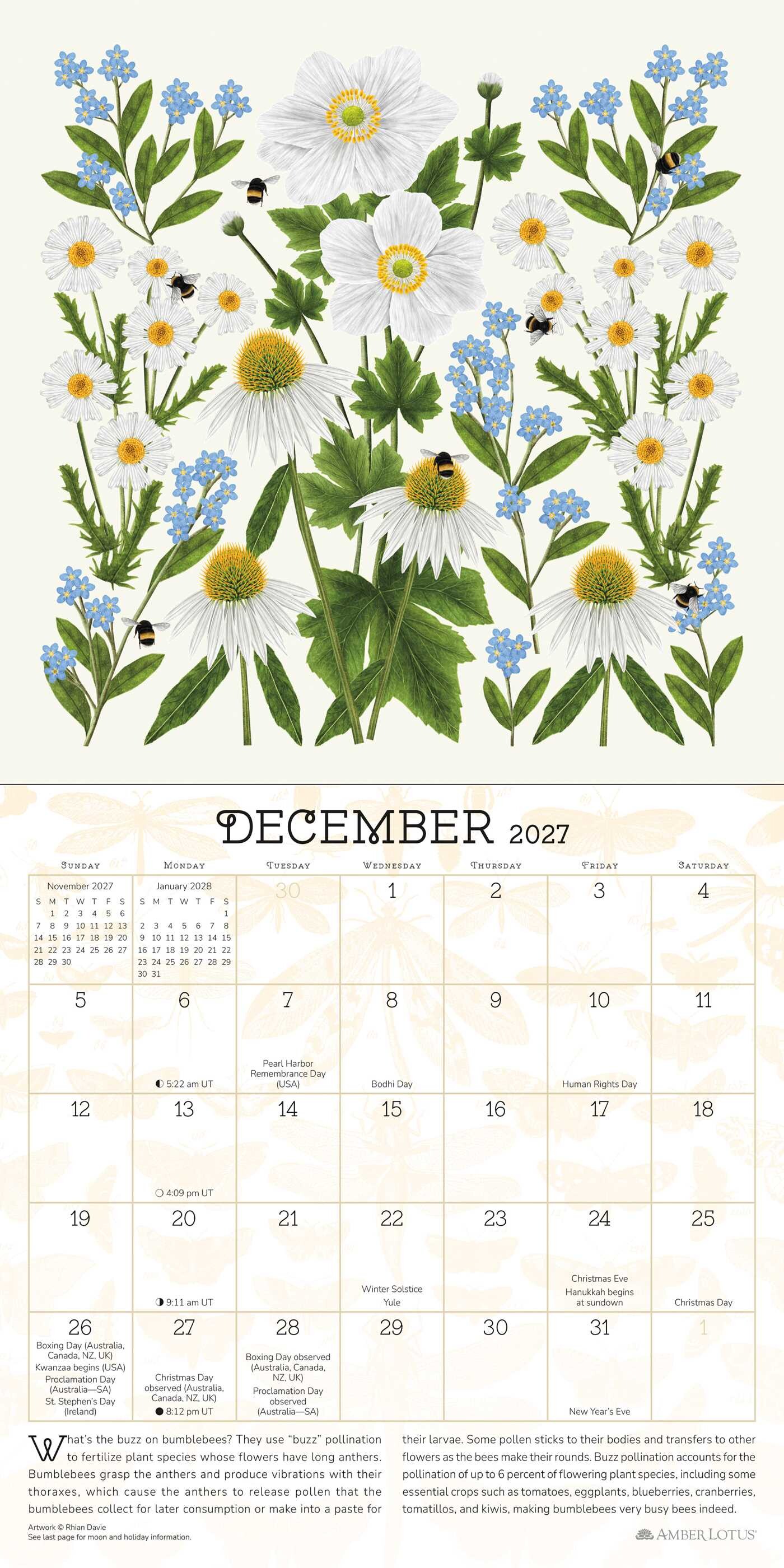 Praise for the Pollinators 2027 Mini Wall Calendar