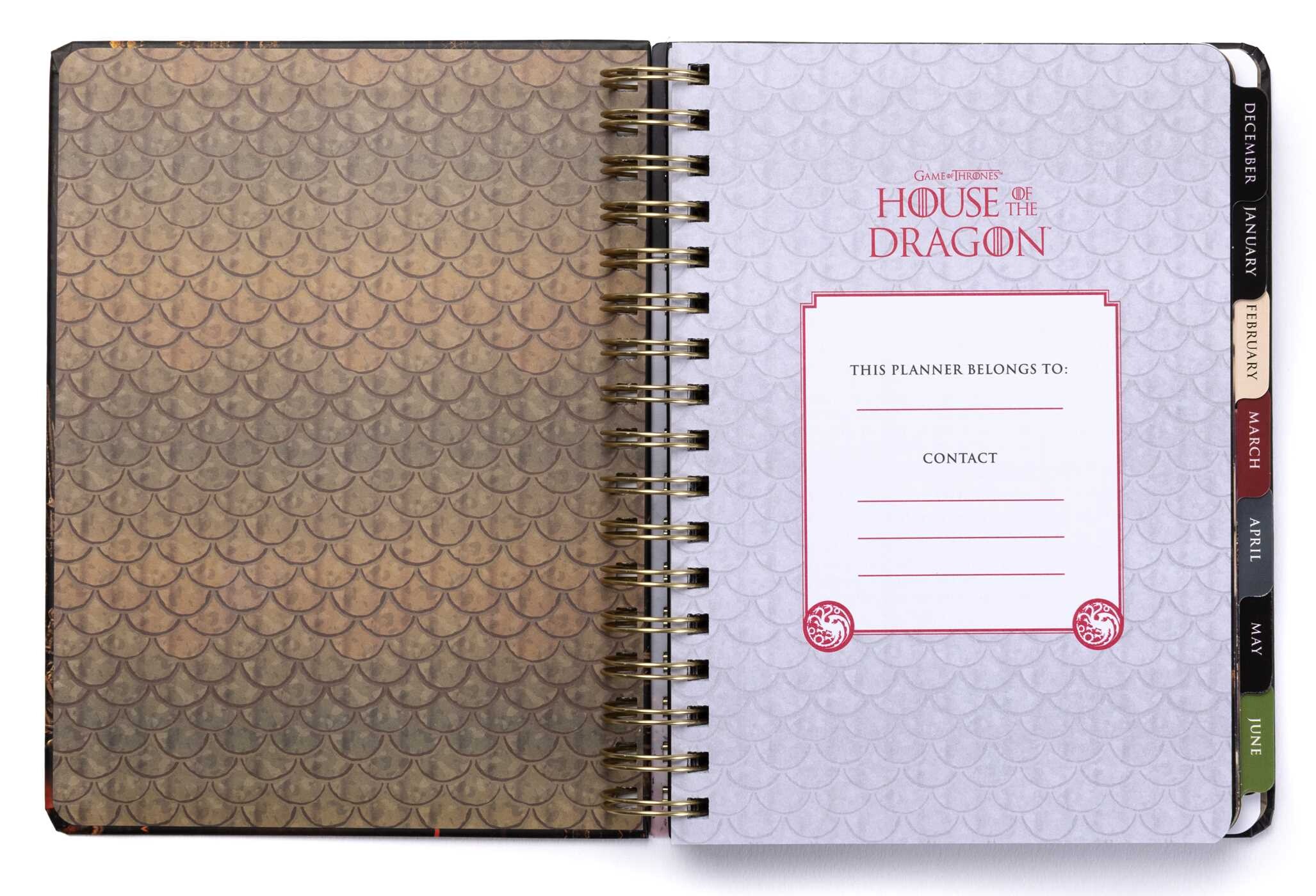 2025 House of the Dragon 13-Month Weekly Planner