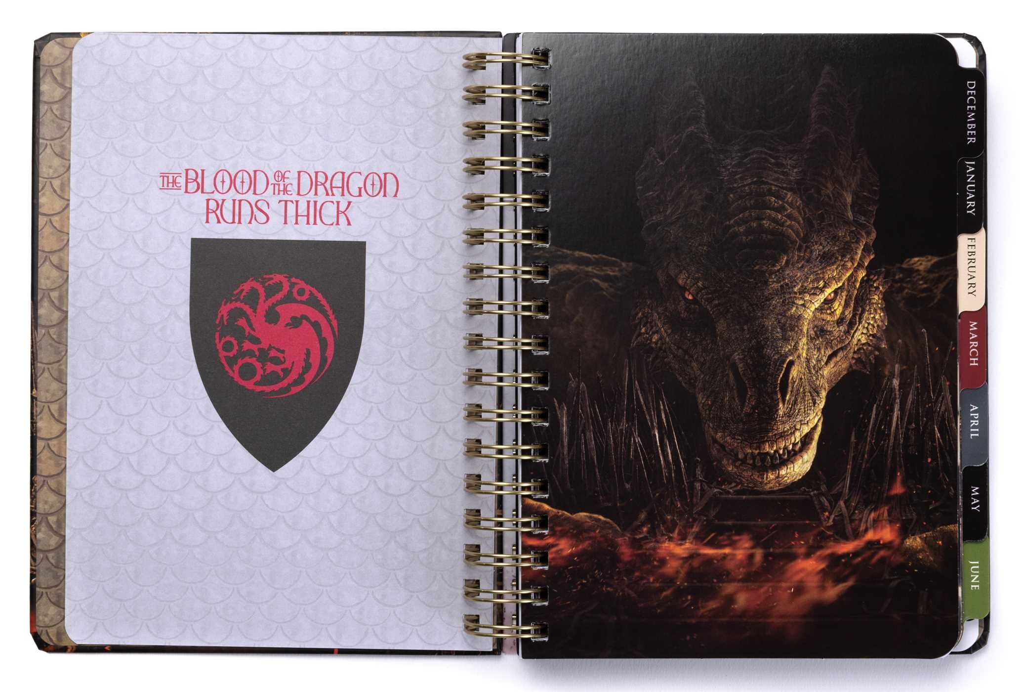 2025 House of the Dragon 13-Month Weekly Planner