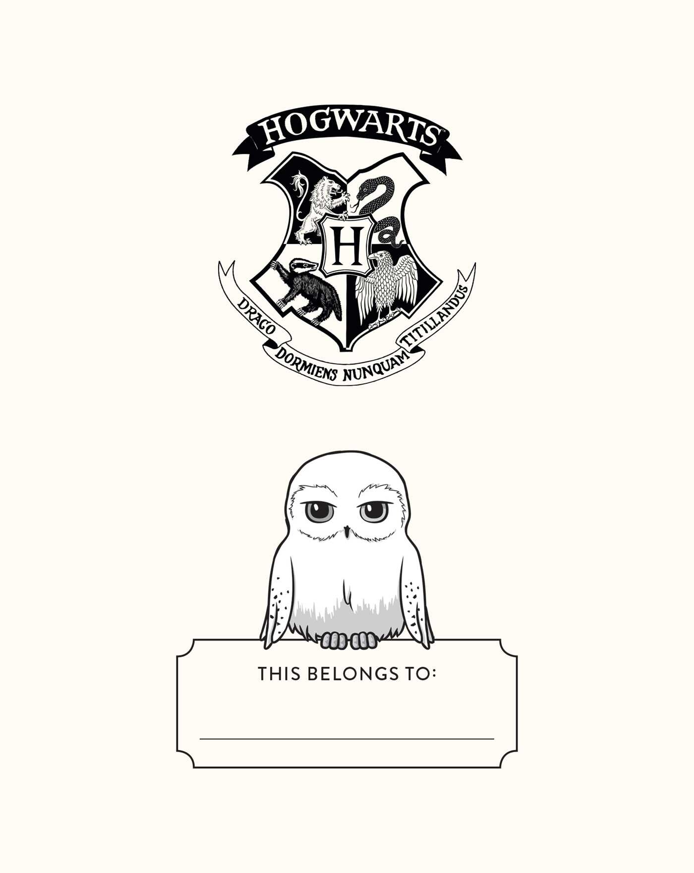 Harry Potter: Hedwig Squishy Lock & Key Diary