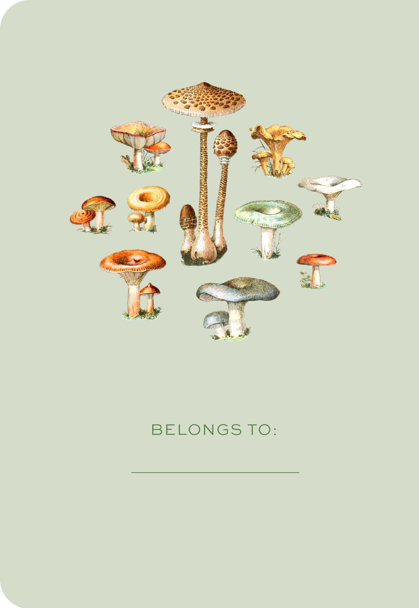 Fungi Memory Journal