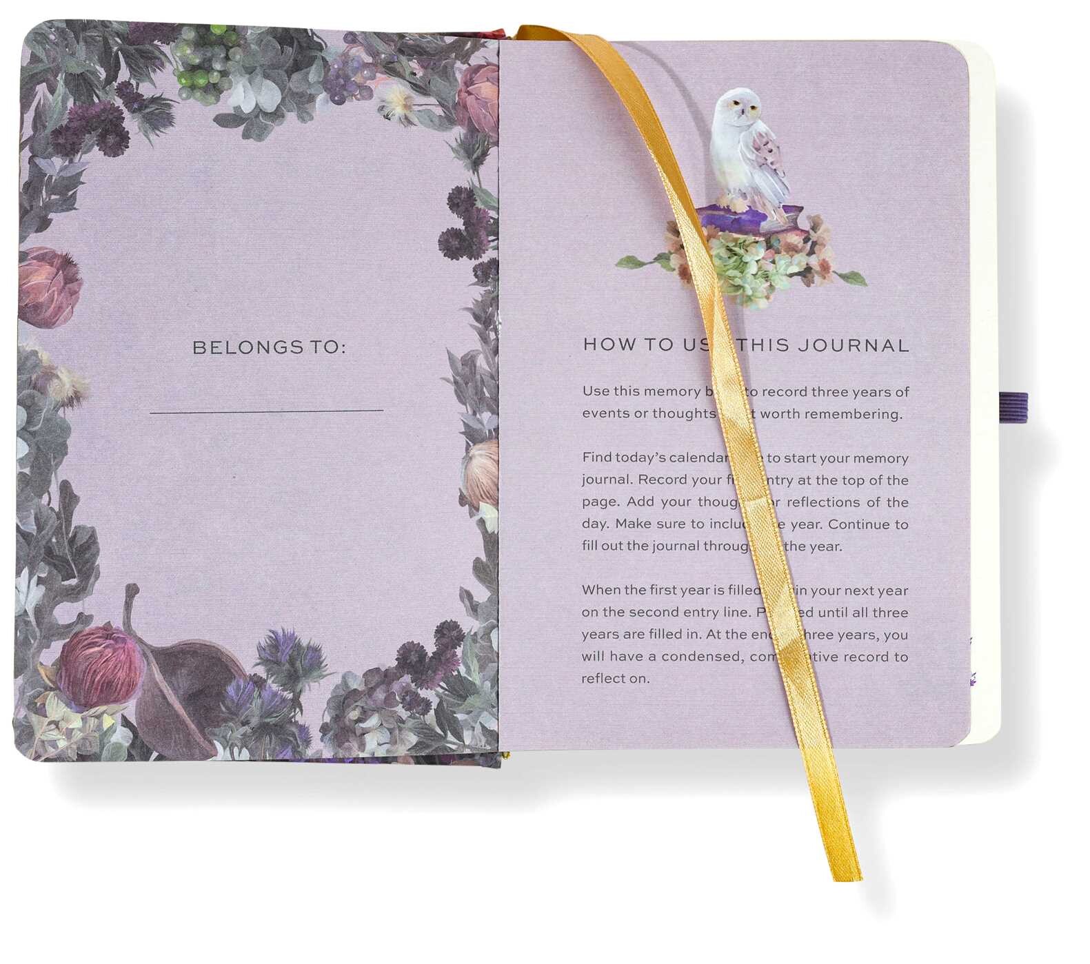Harry Potter: Hogwarts Memory Journal