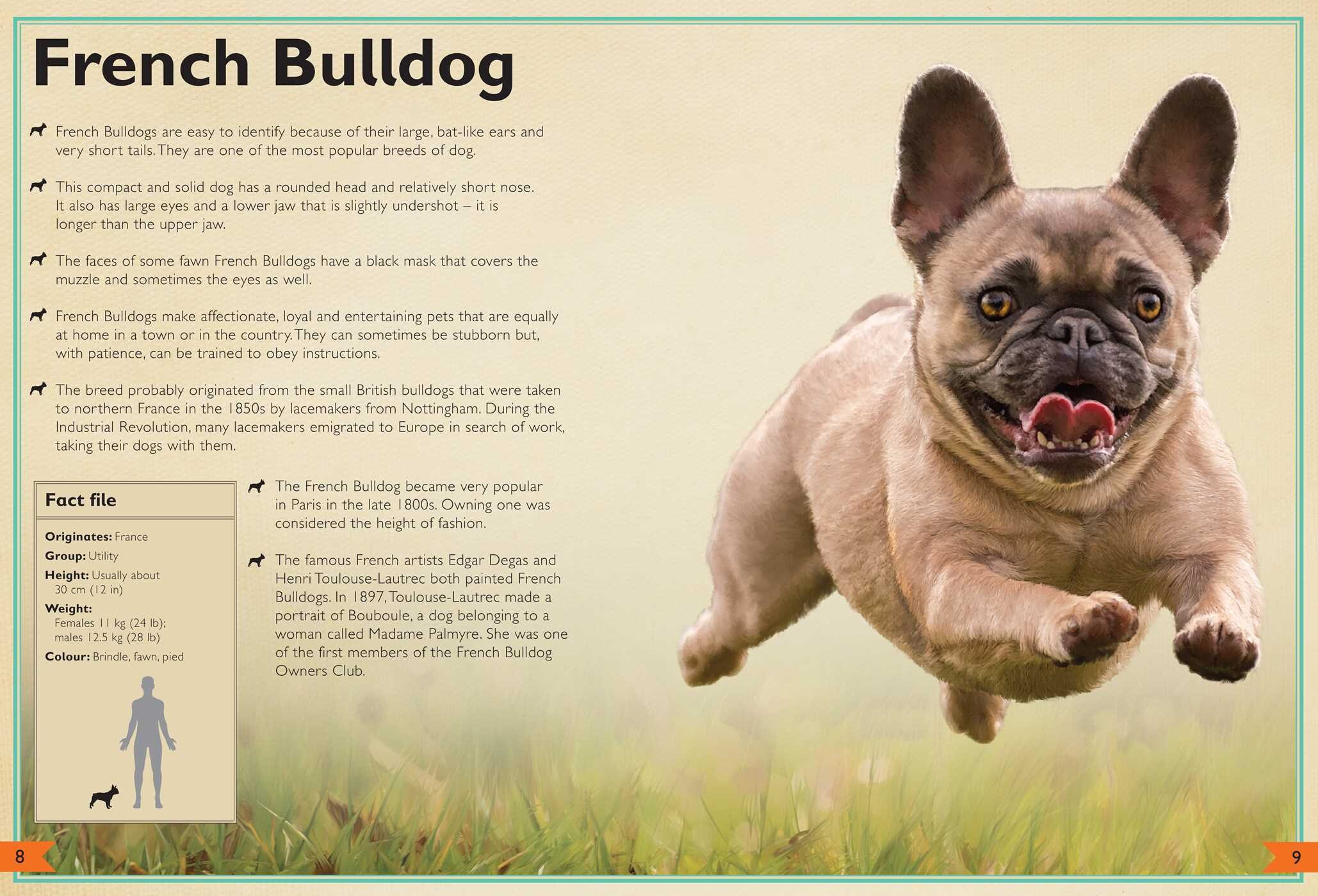 Magnificent Book of Dogs