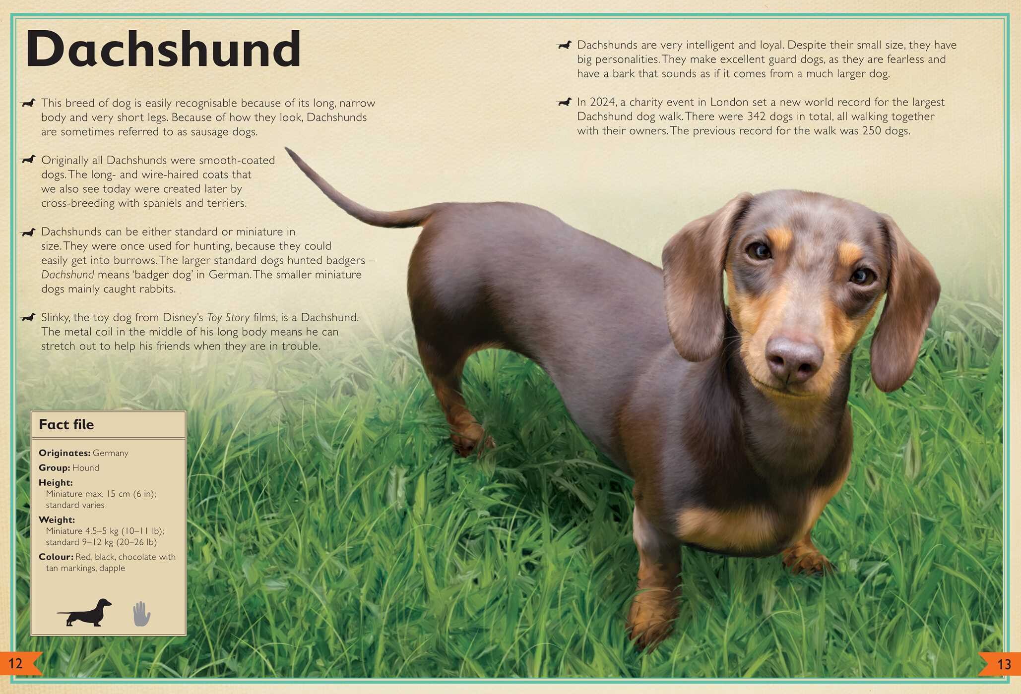 Magnificent Book of Dogs