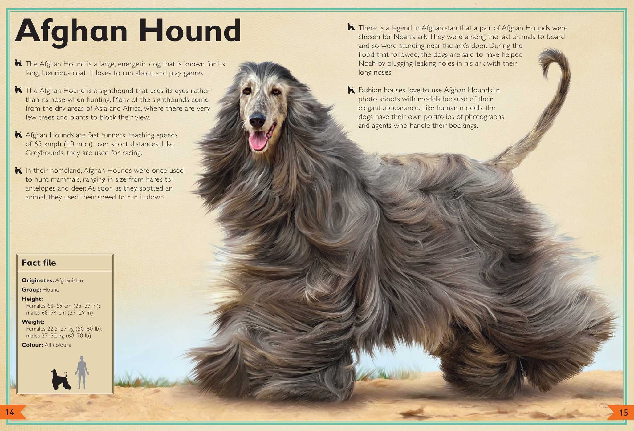 Magnificent Book of Dogs