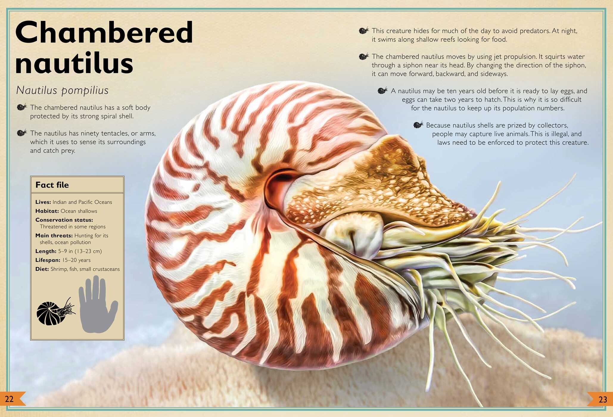Magnificent Book of Endangered Animals
