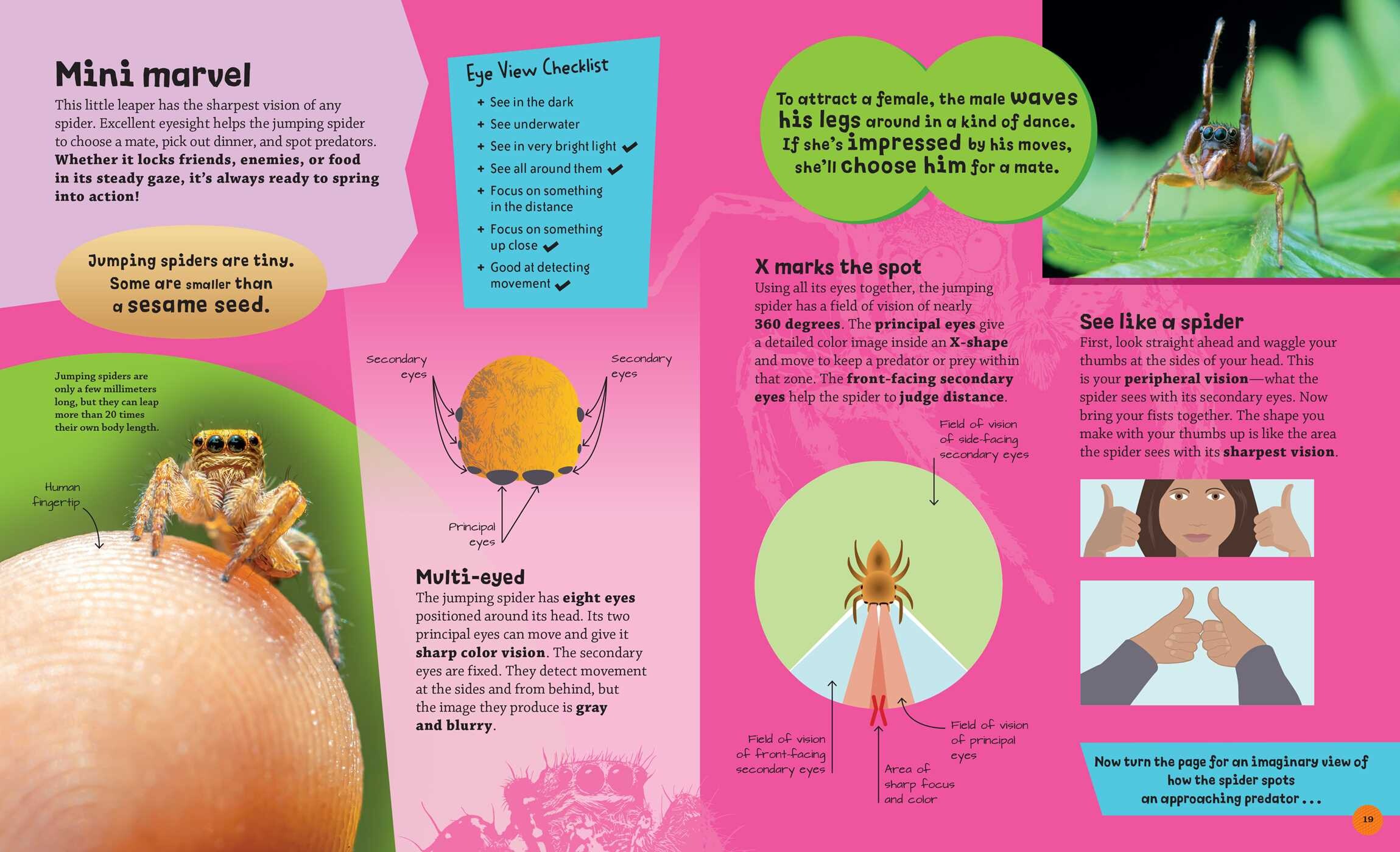 Eye View: Bugs and Other Tiny Creatures