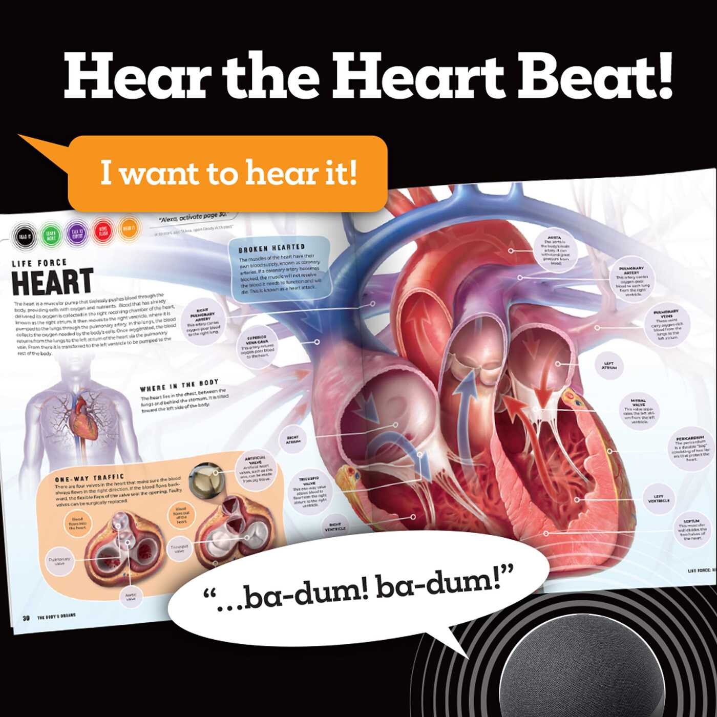 Discover: The Human Body (Ready Activated: A Readyland Alexa Interactive Book)